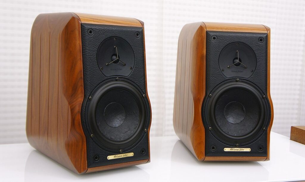 Sonus Faber Electa Amator 2
