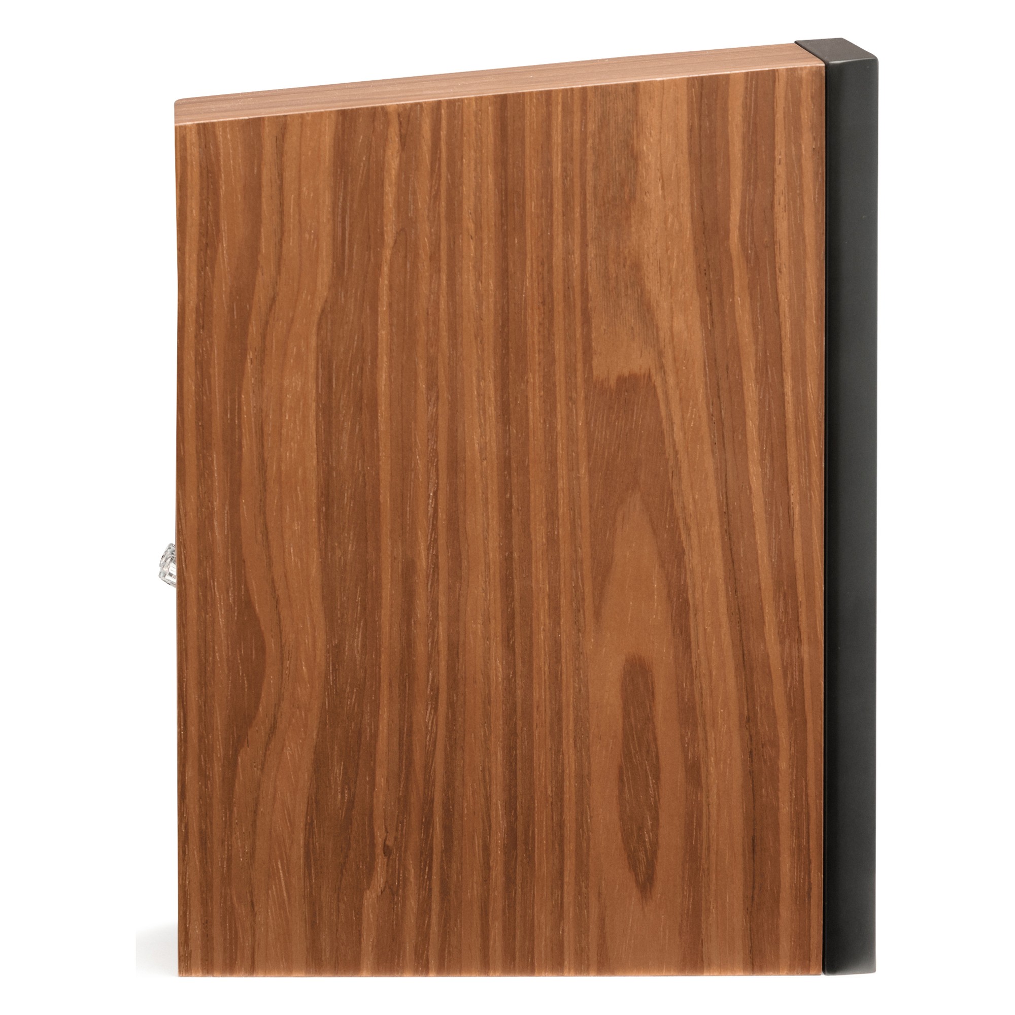 Martin Logan Motion B10