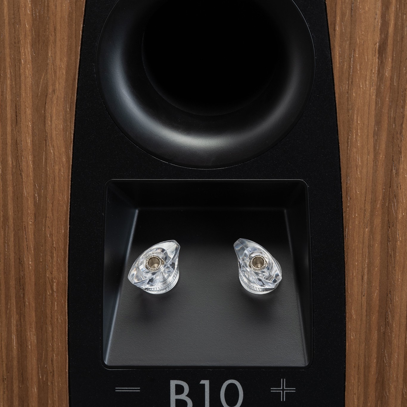 Martin Logan Motion B10