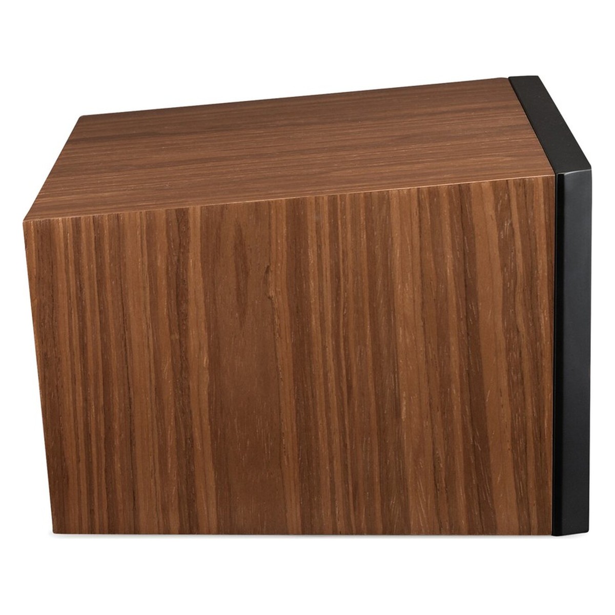 Martin Logan Motion C10