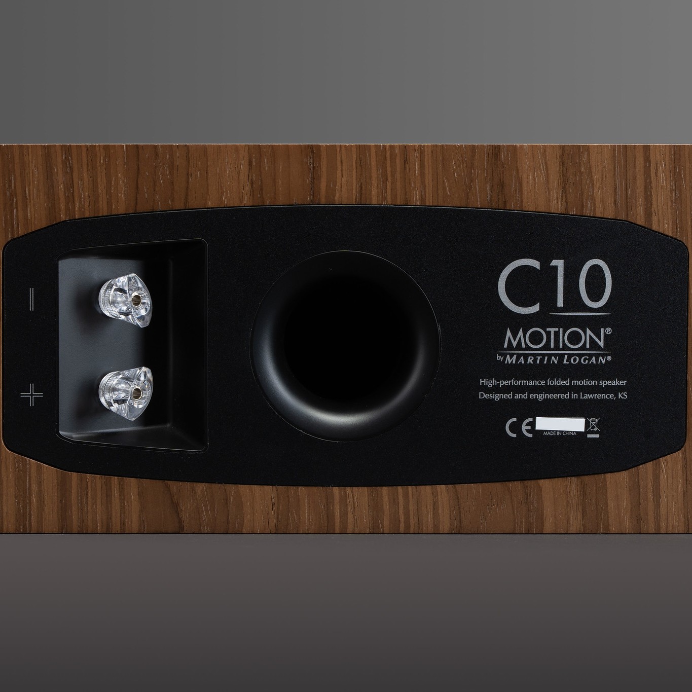 Martin Logan Motion C10