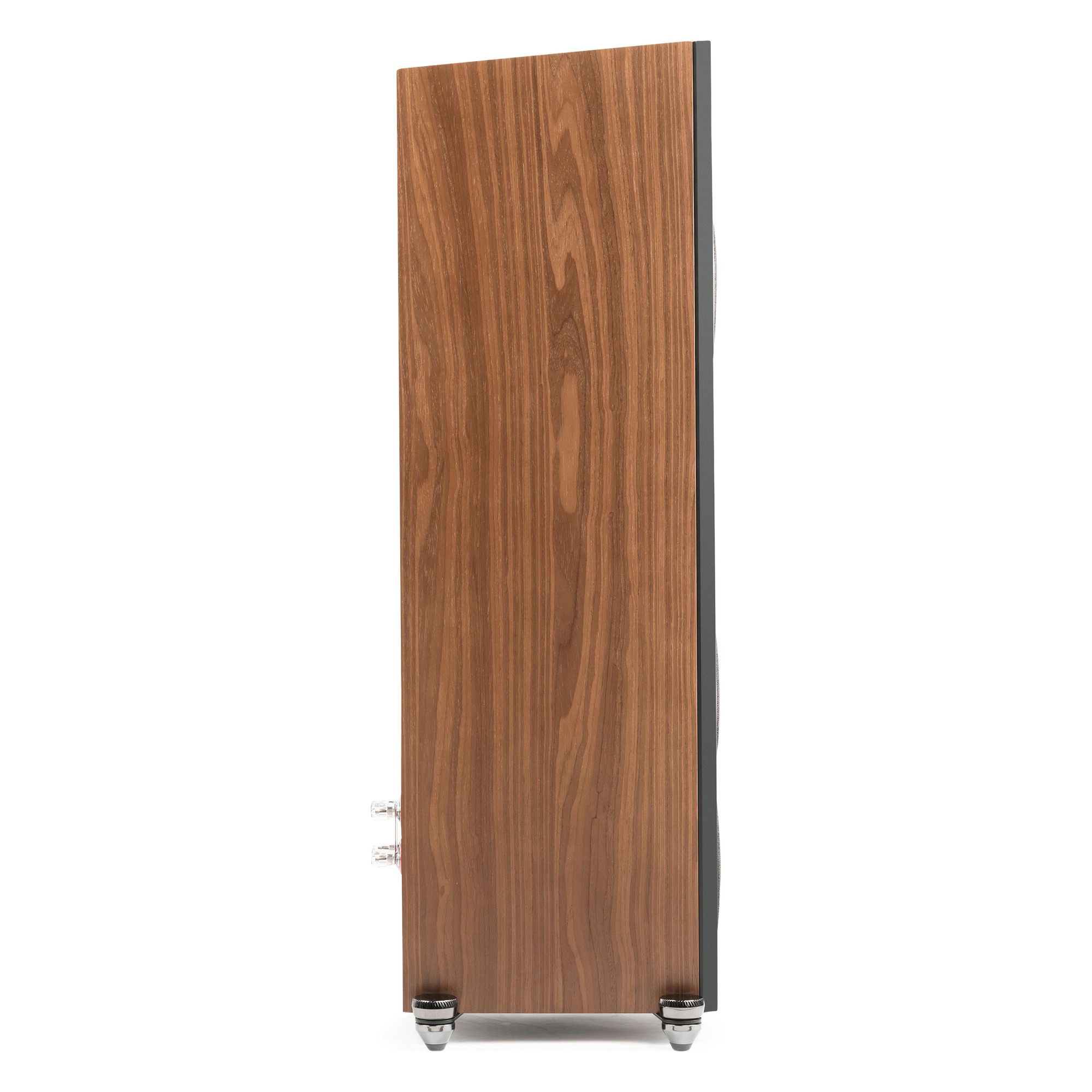Martin Logan Motion F10