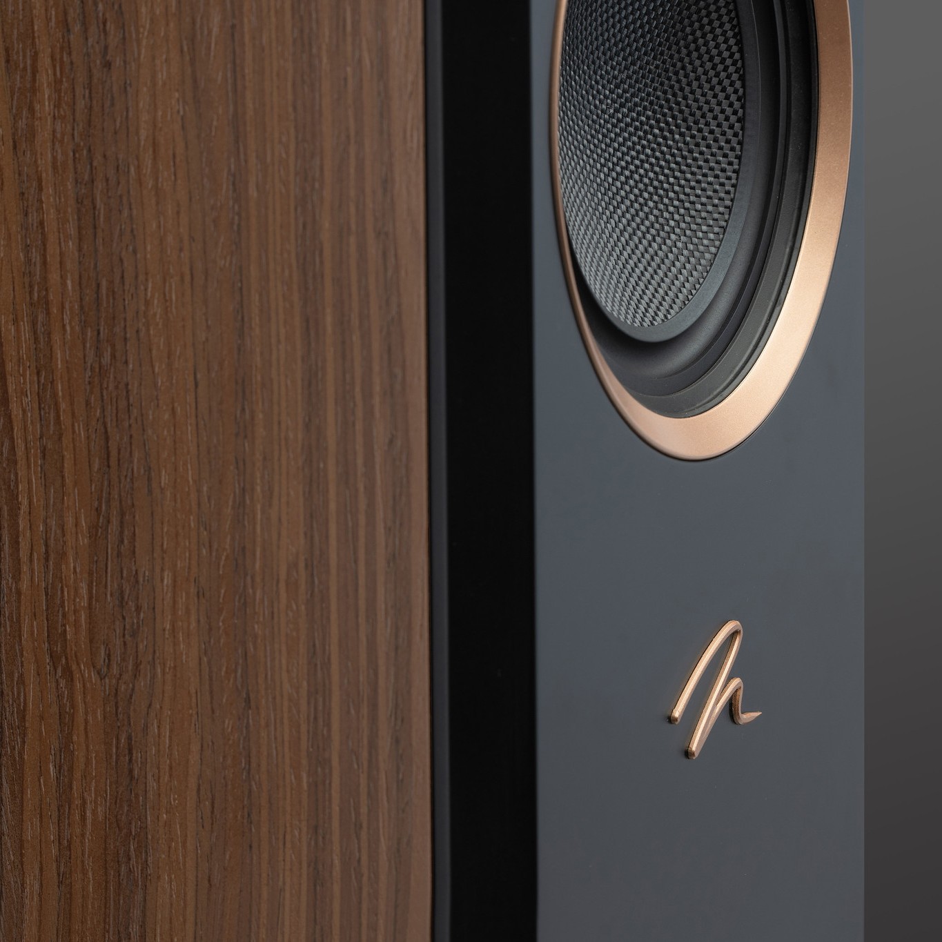 Martin Logan Motion F20