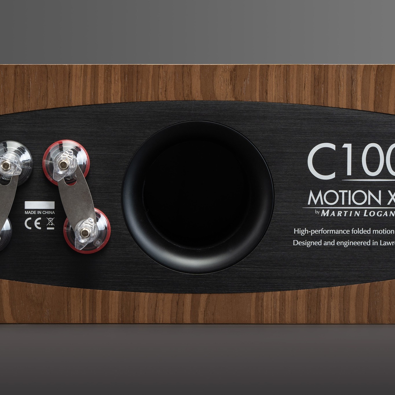 Martin Logan Motion XT C100