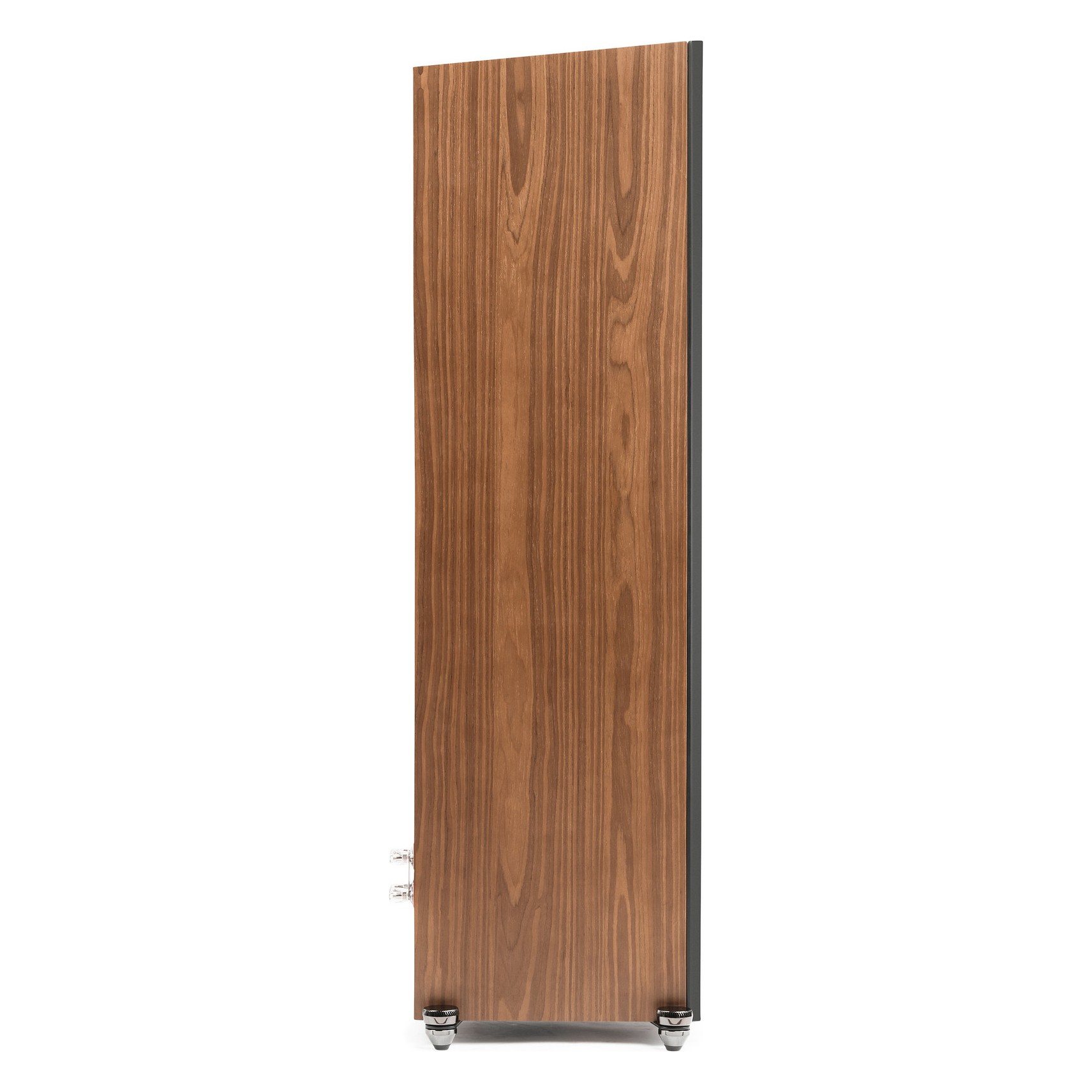 Martin Logan Motion XT F100