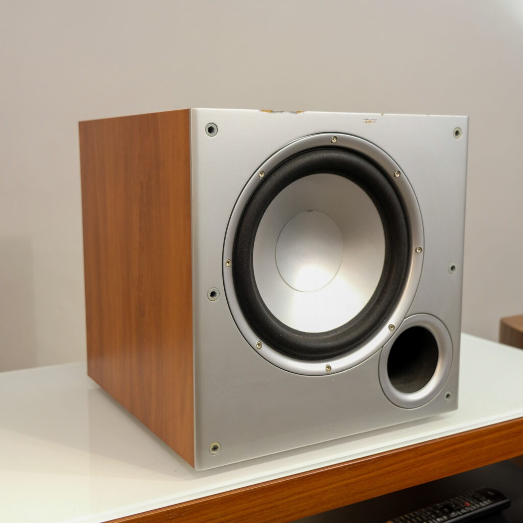 Polk Audio PSW10