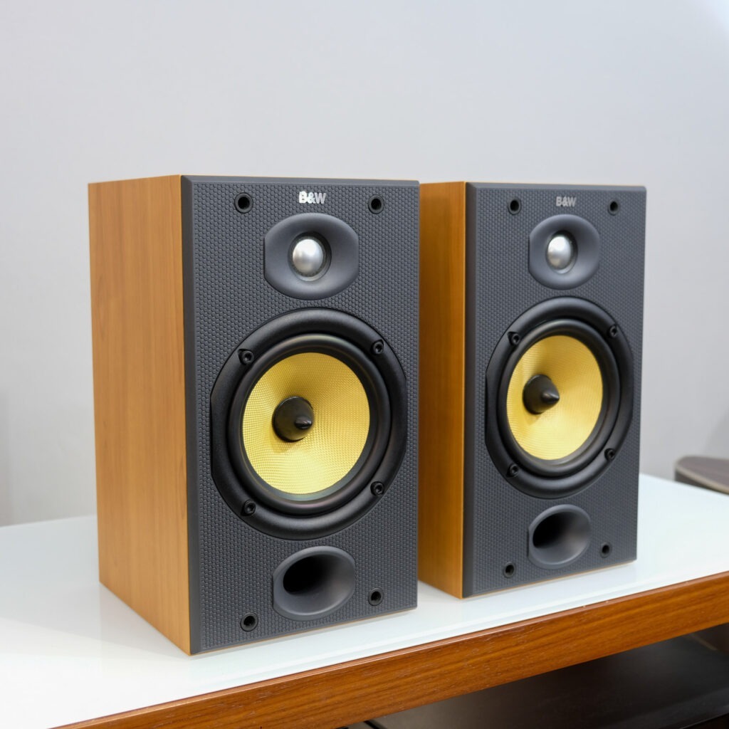 B&W DM601 S2