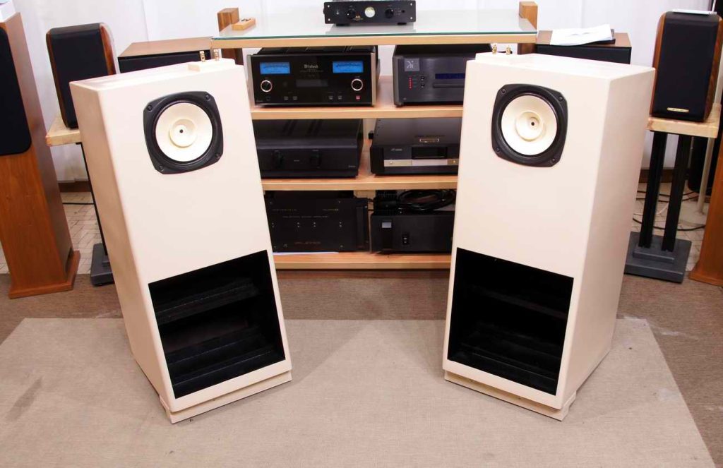 Fostex FE 206 con caricamento a Tromba