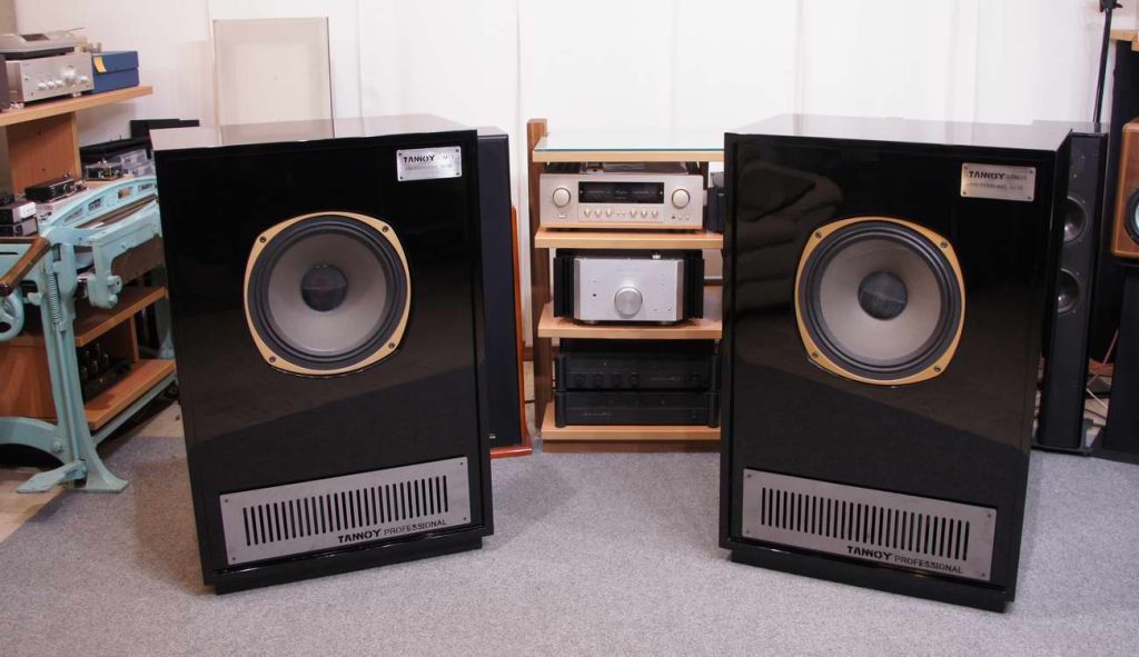 Tannoy SRM 15X