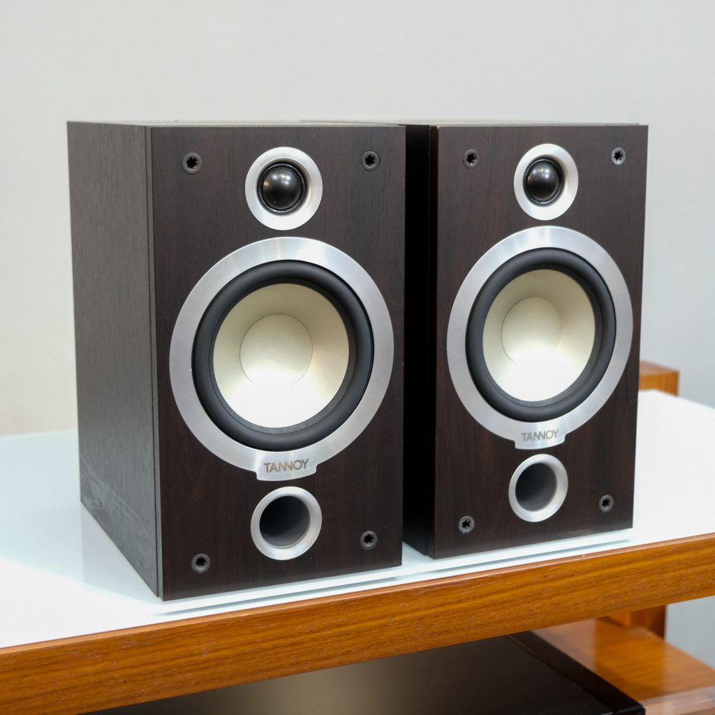 Tannoy Mercury V1