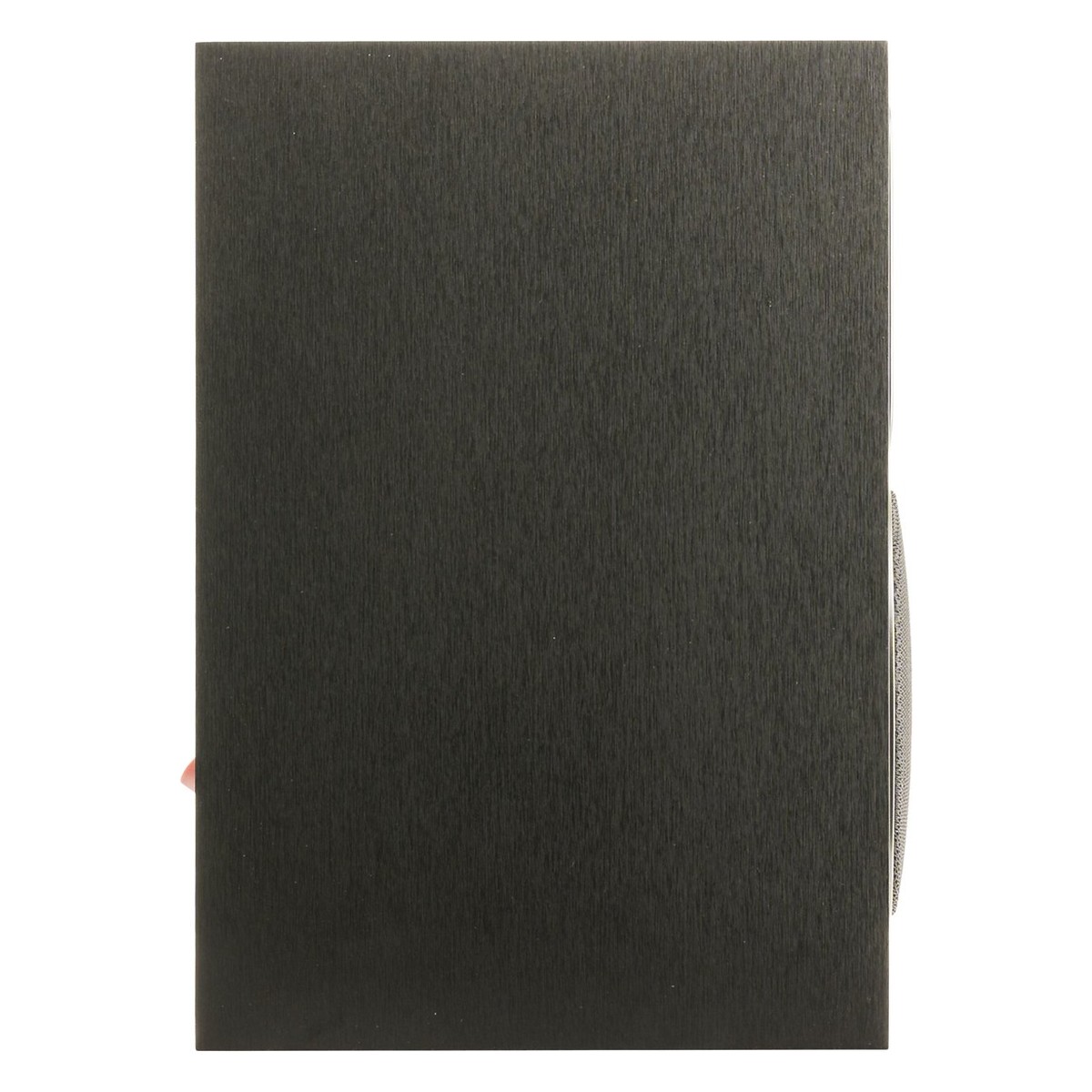Martin Logan Foundation B1
