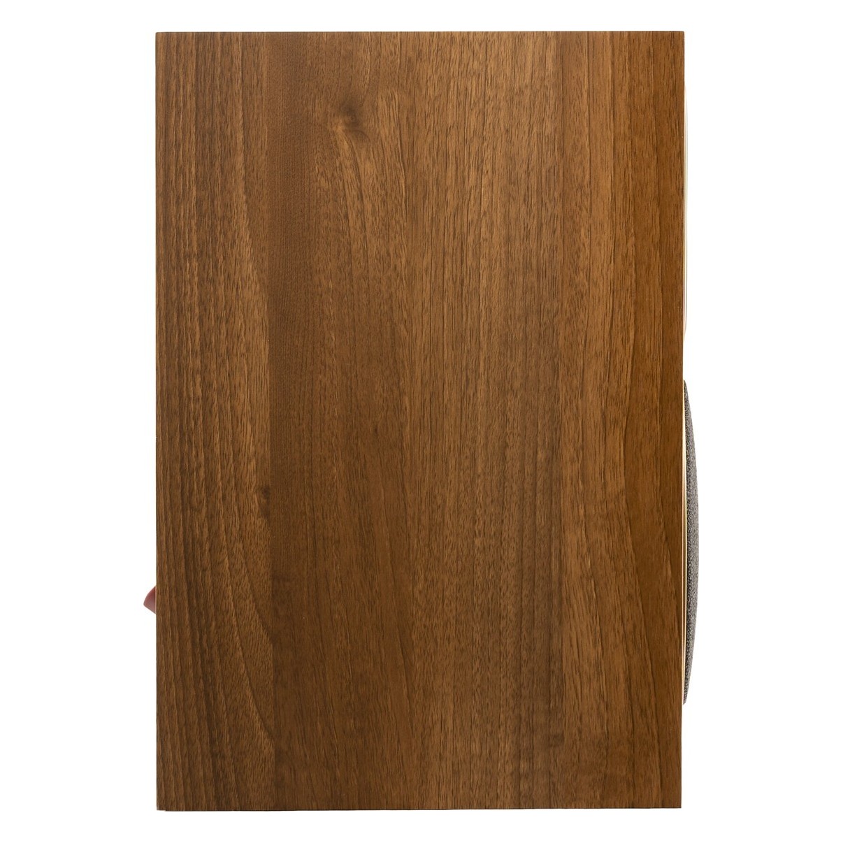 Martin Logan Foundation B1