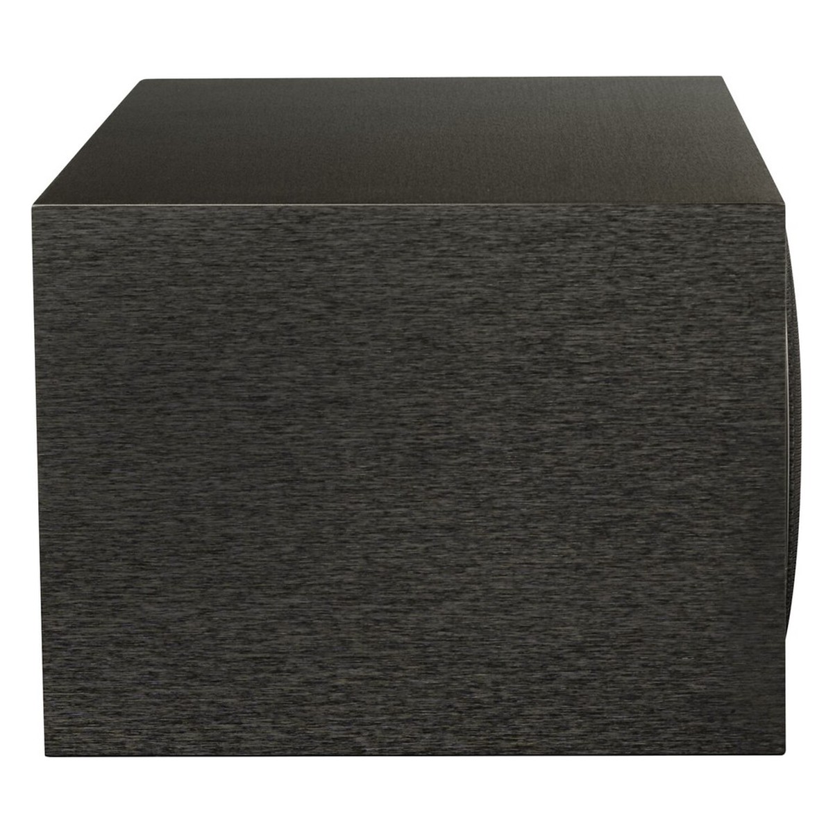 Martin Logan Foundation C1