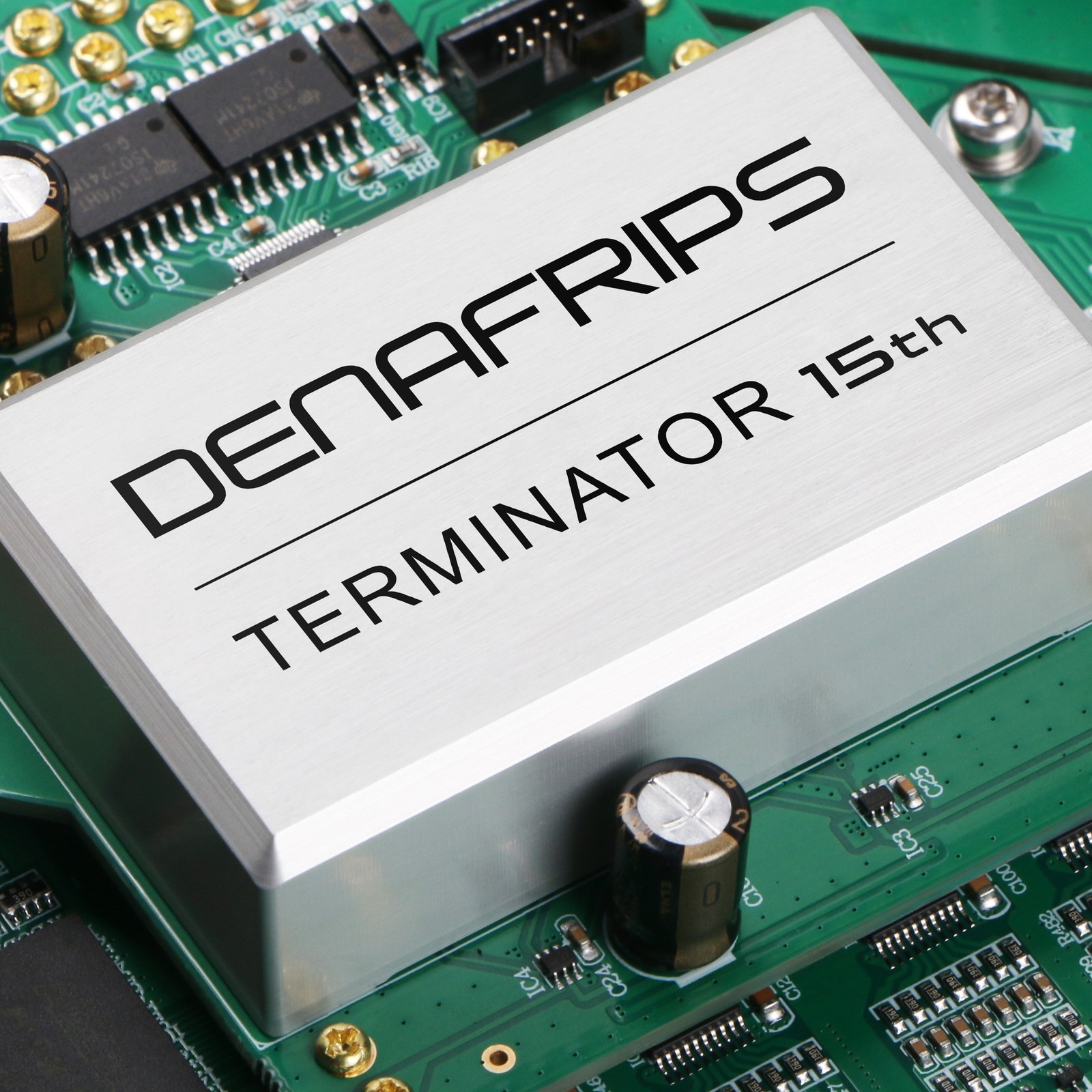 Denafrips TERMINATOR 15TH R2R DAC