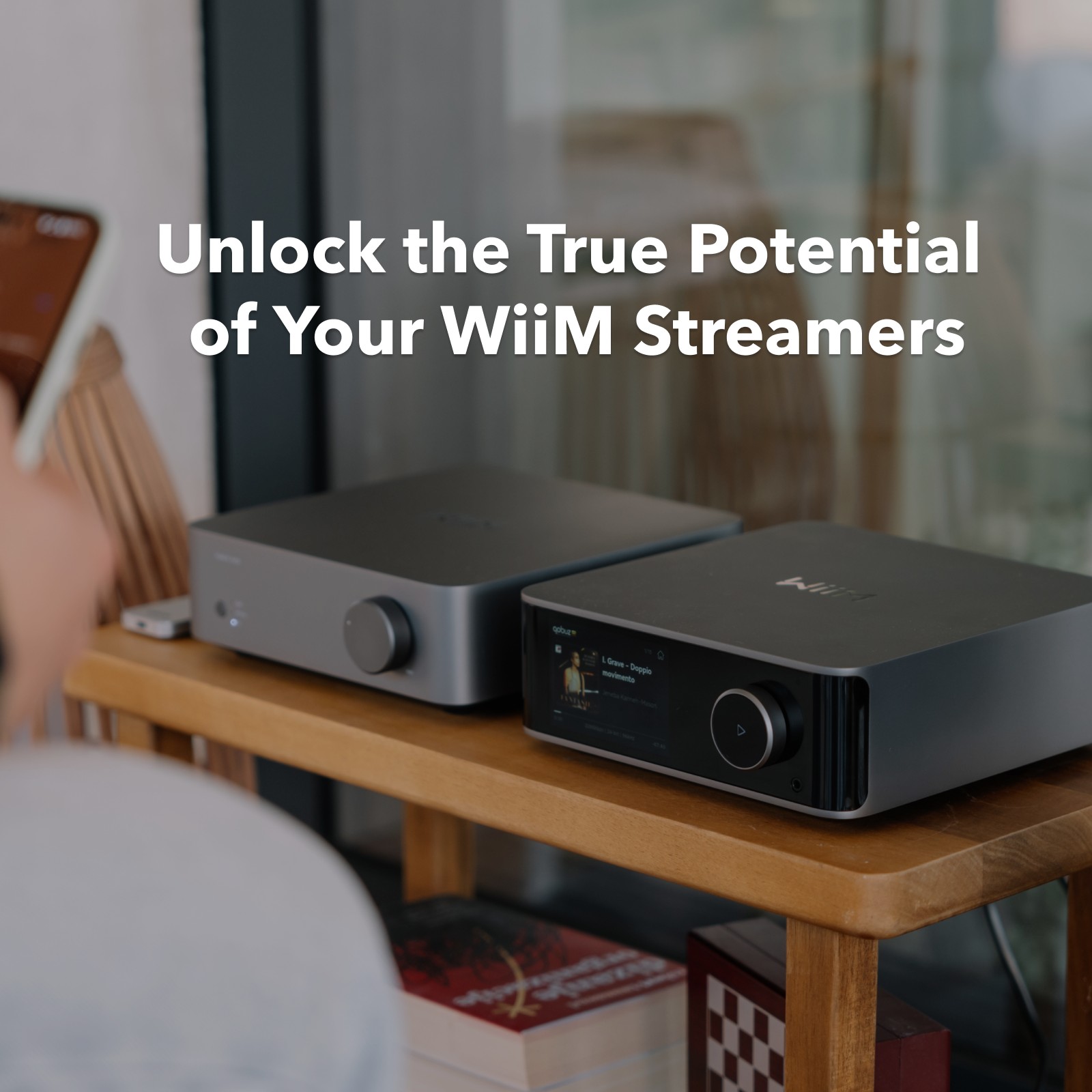 WiiM Vibelink