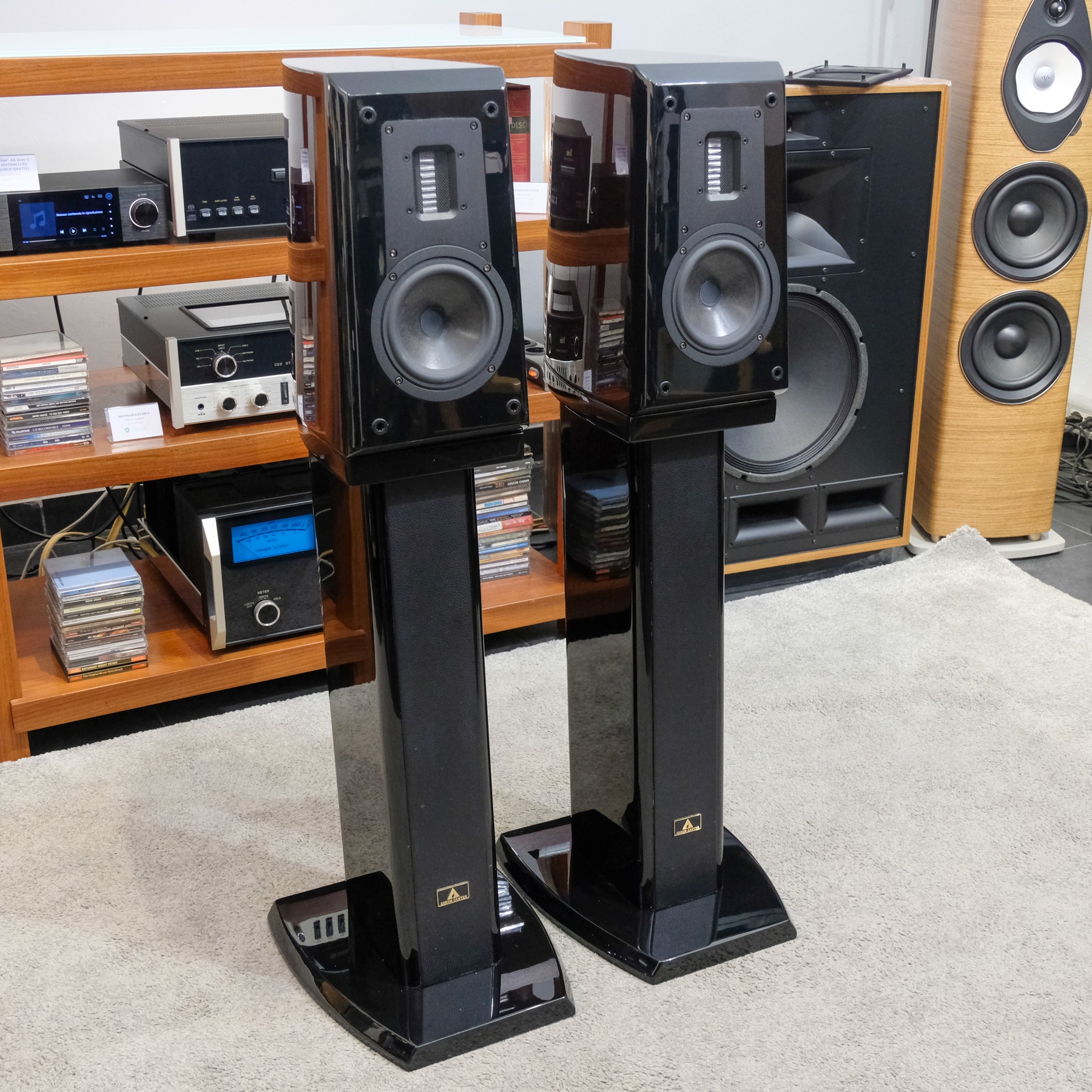 Aurum Cantus V2M con stand