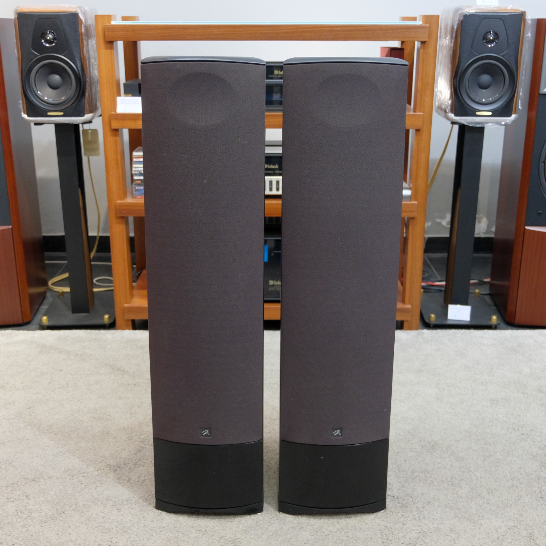 Martin Logan Montage
