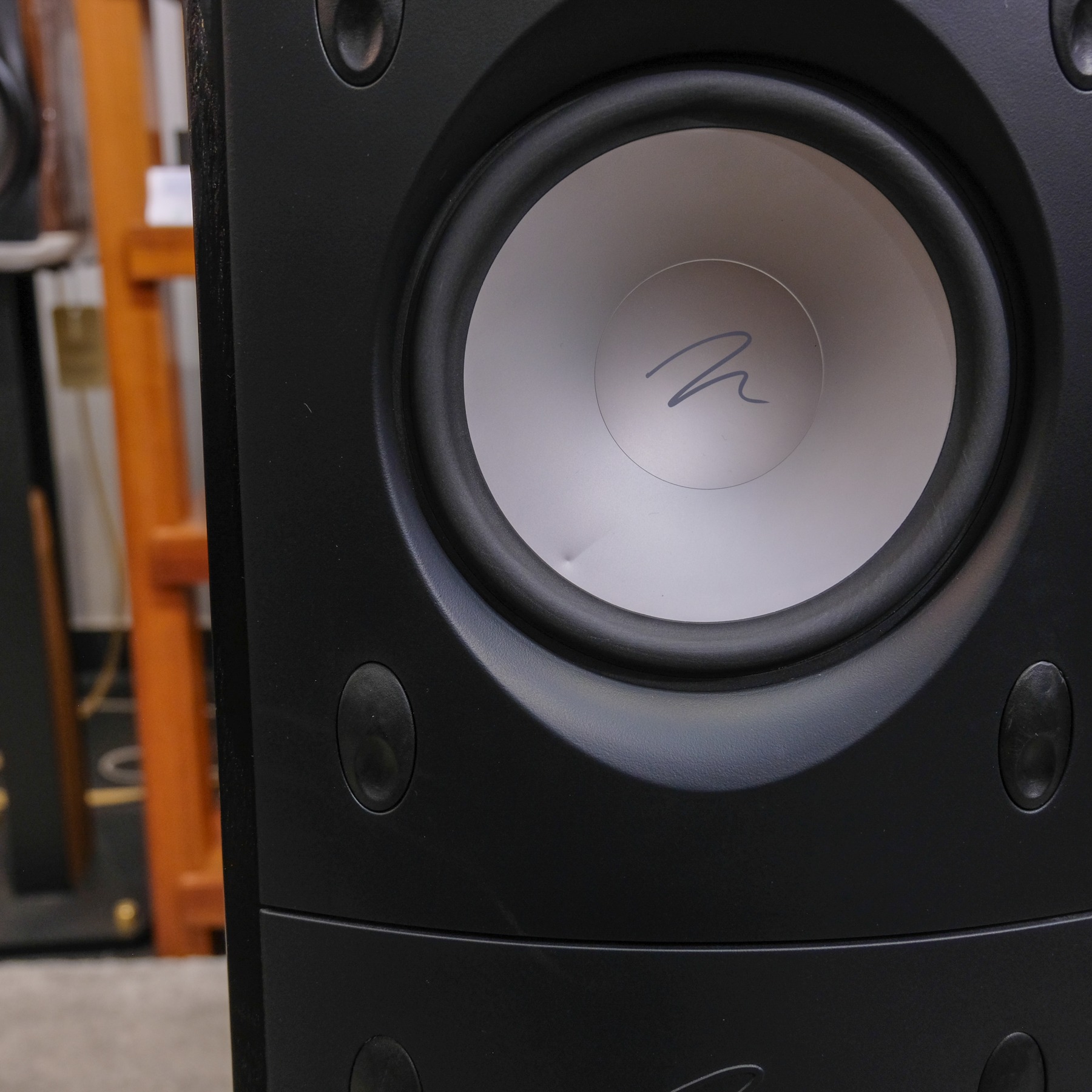 Martin Logan Montage