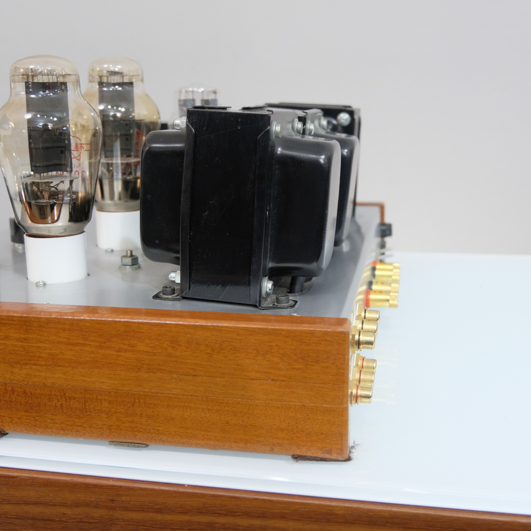 TP Audio IEL300b