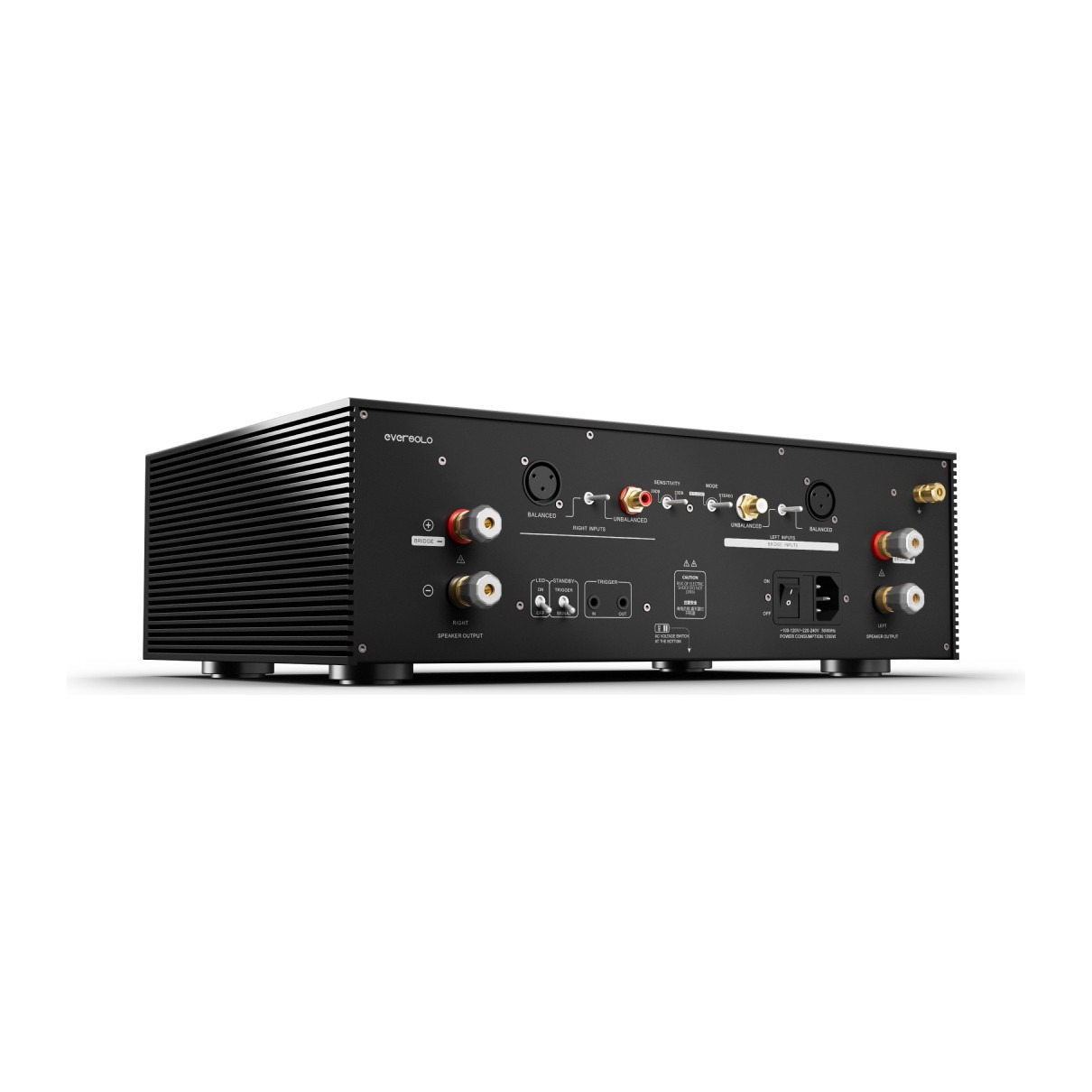 Eversolo AMP-F8