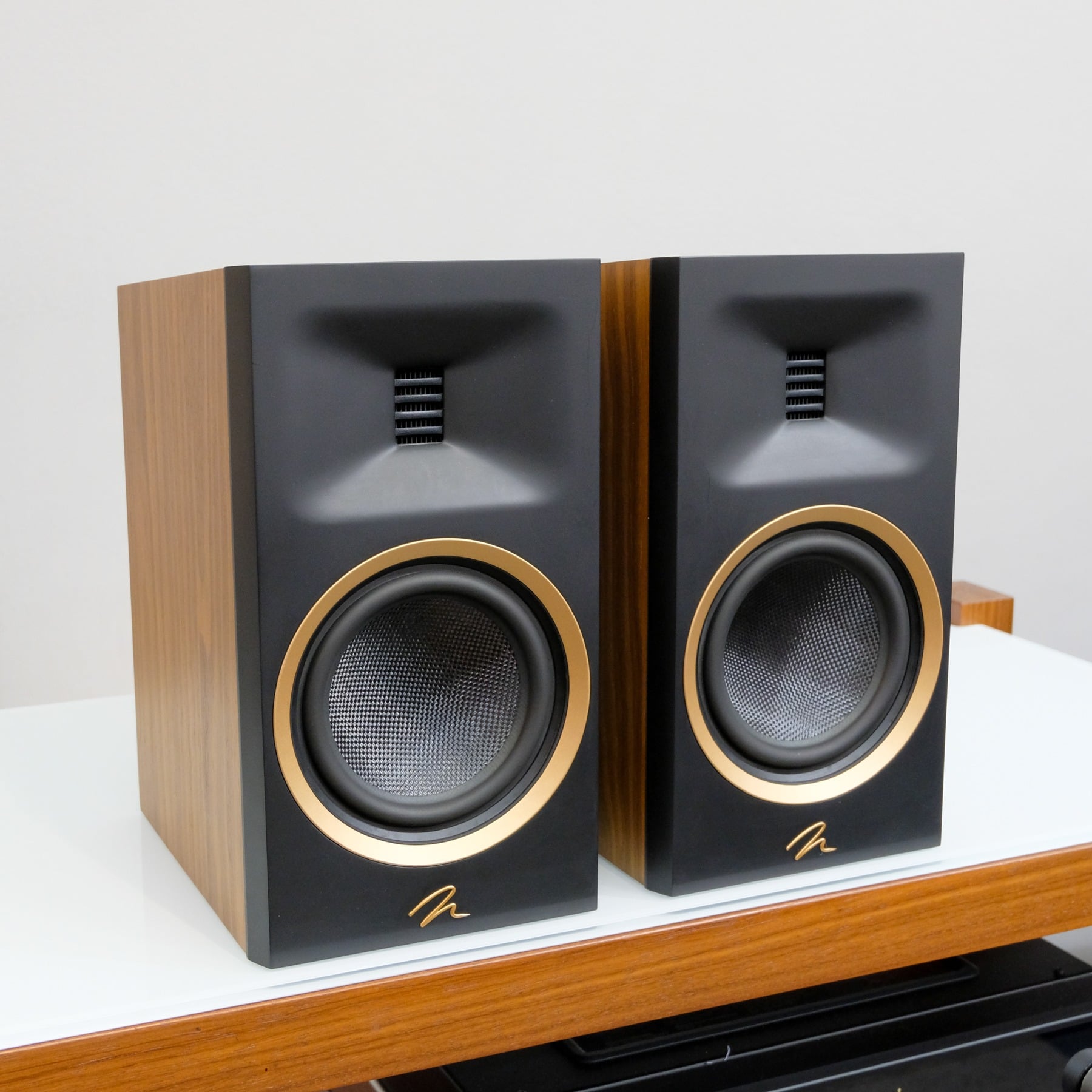Martin Logan Motion B10
