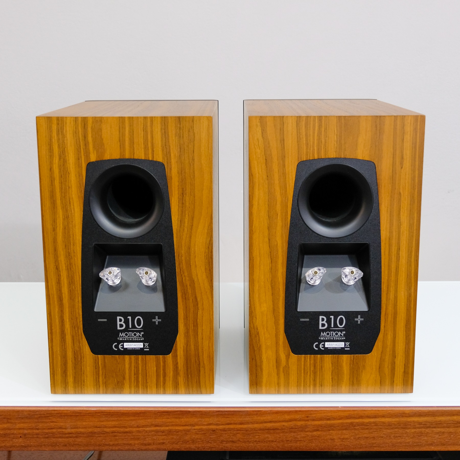 Martin Logan Motion B10