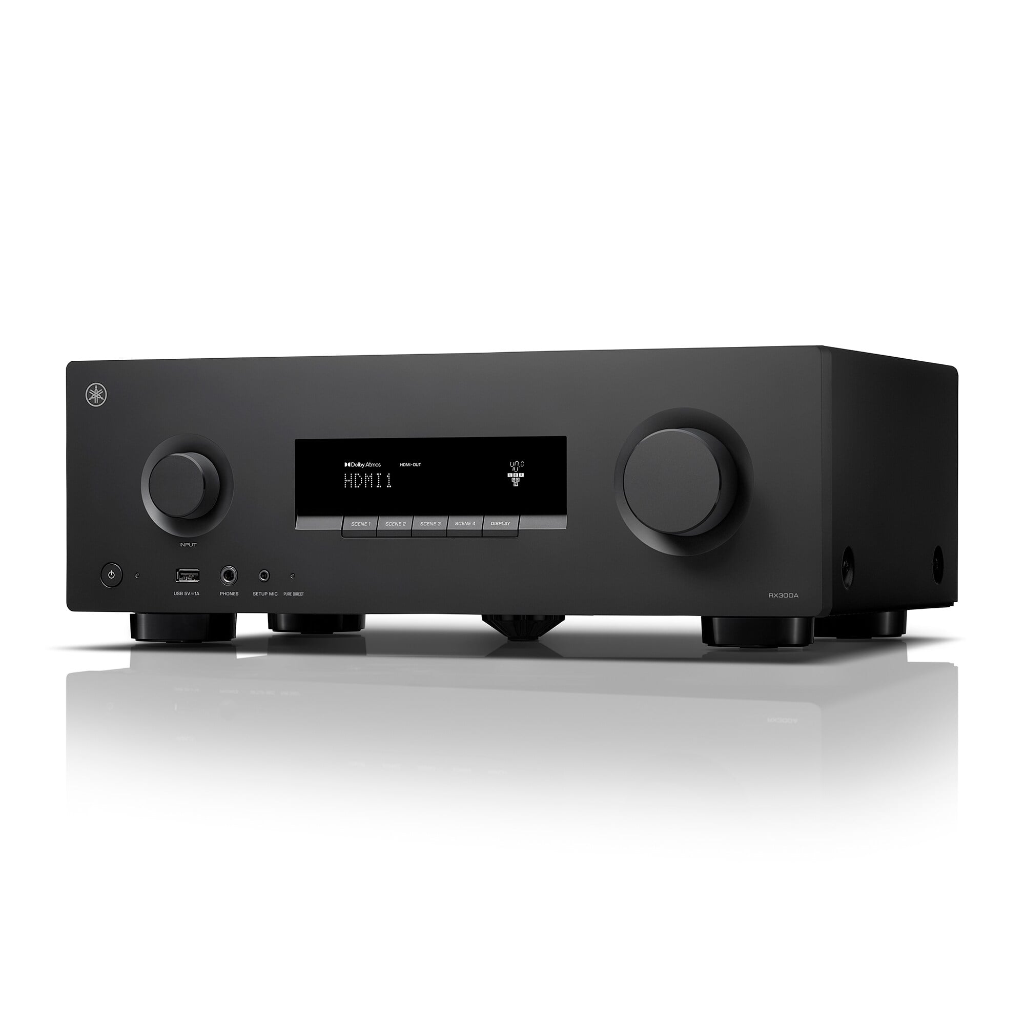 Yamaha RX300A