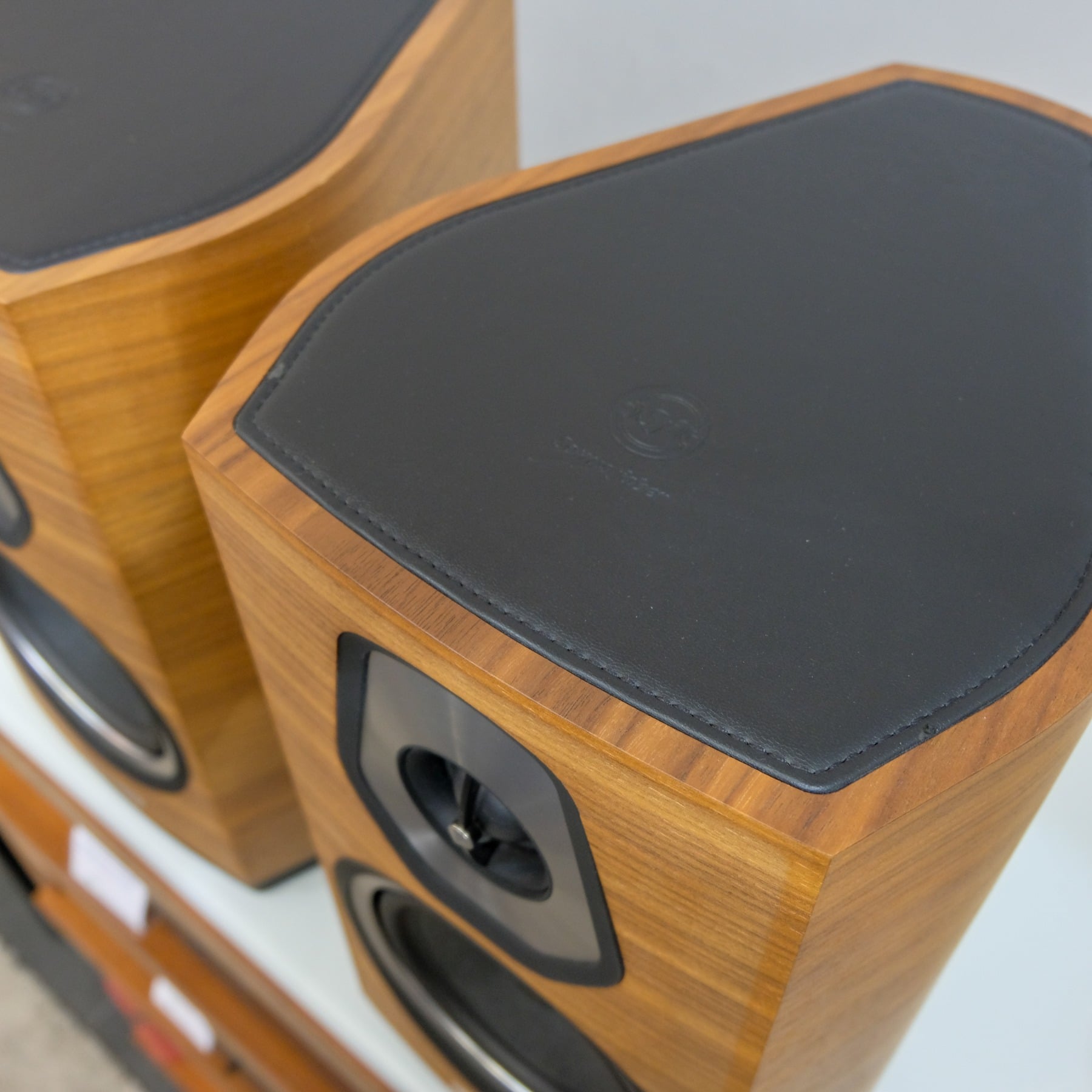 Sonus faber Sonetto I