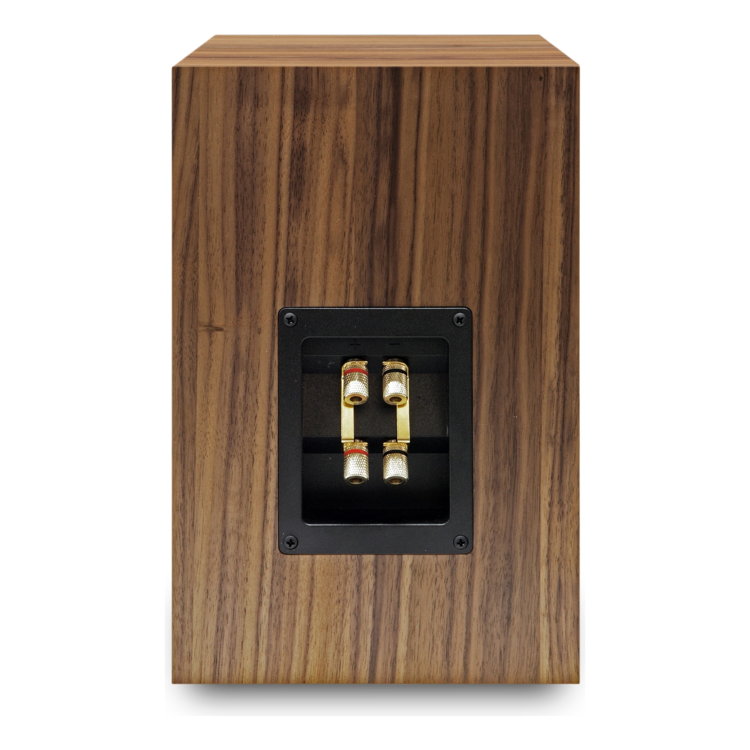 Audio Note AX One