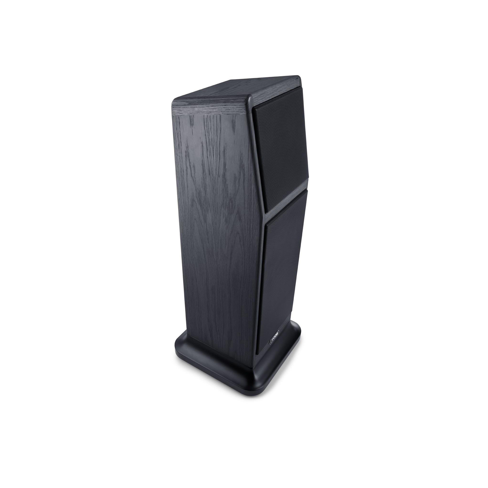 Canton Ergo GS Edition