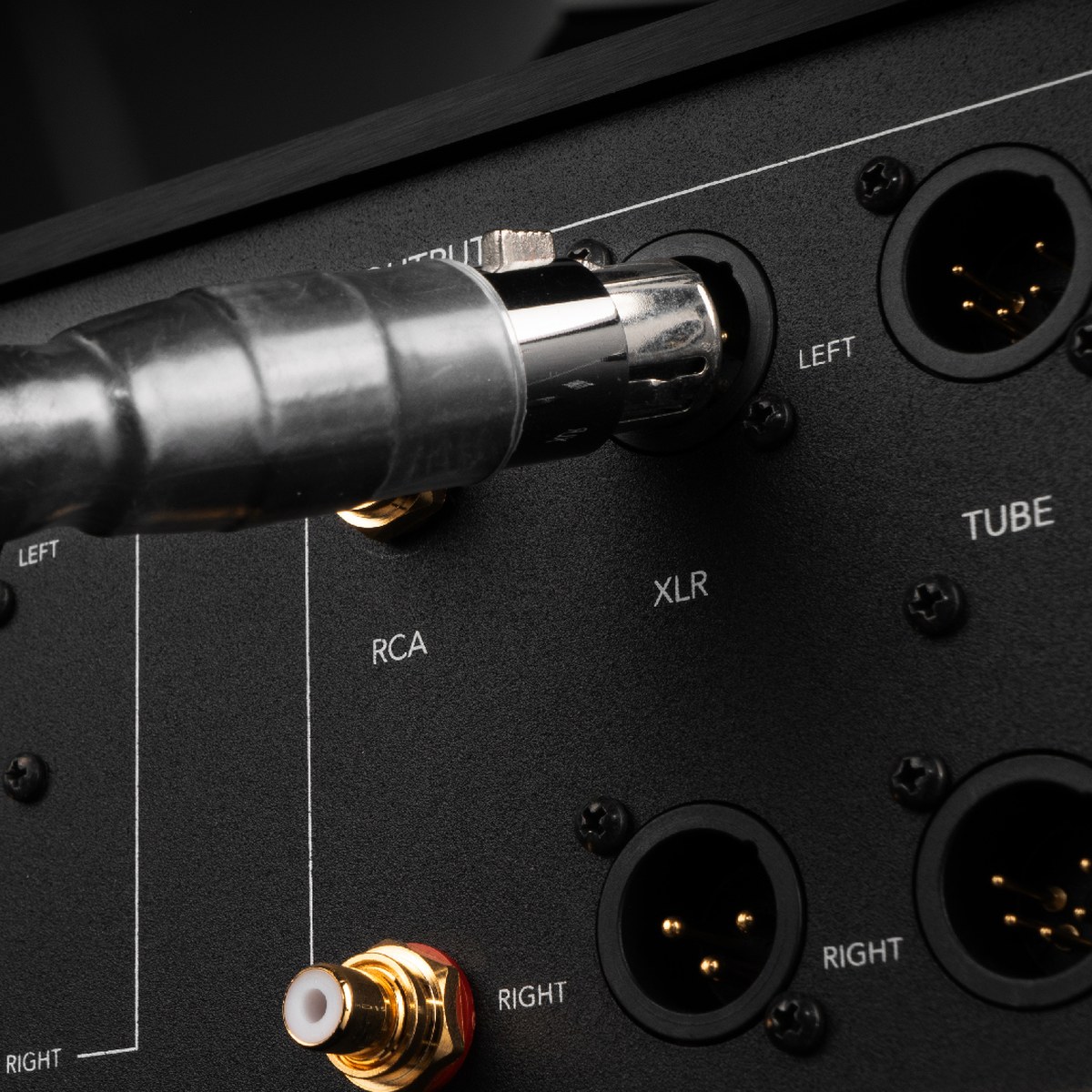 Gold Note Firenze Il Magnifico XLR