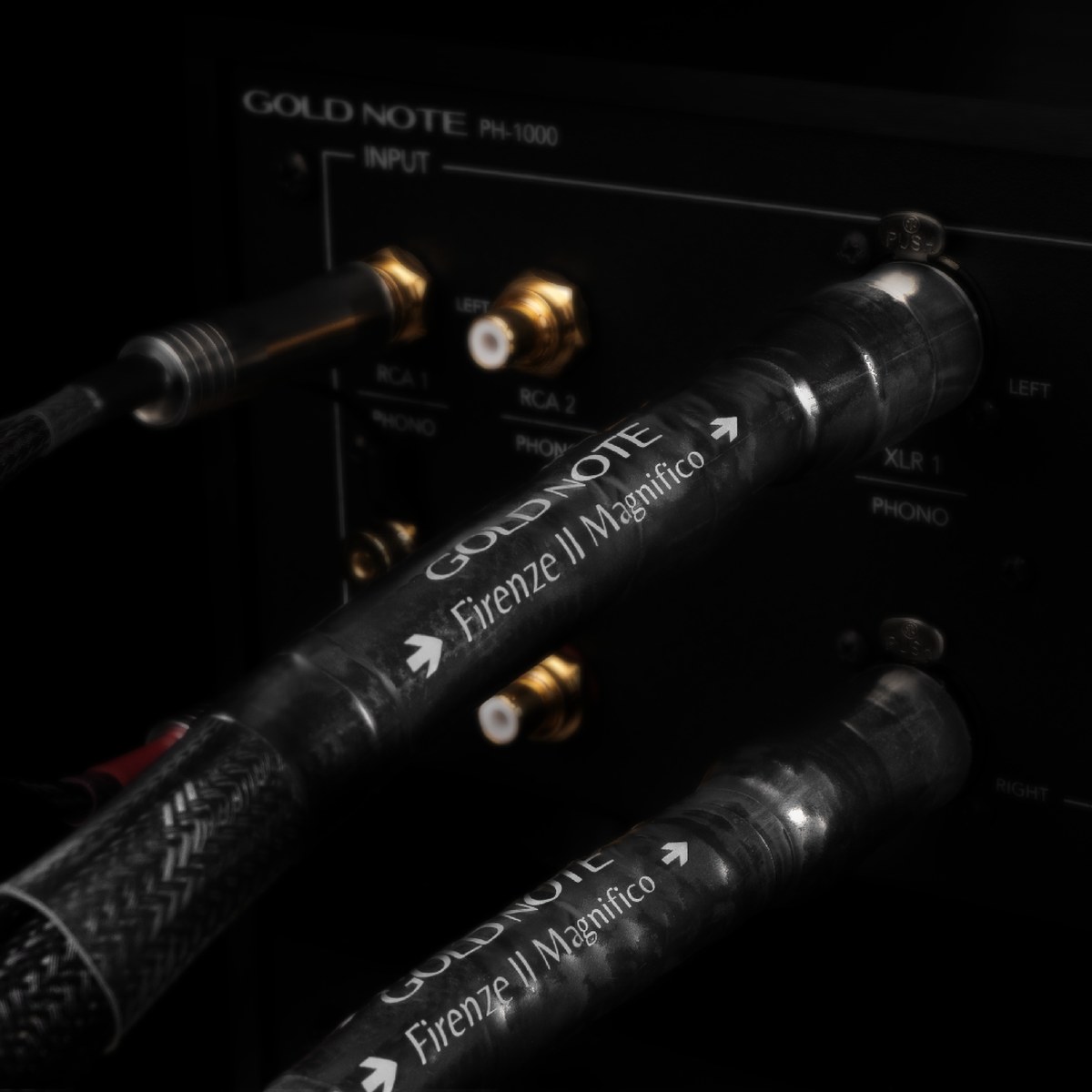 Gold Note Firenze Il Magnifico XLR
