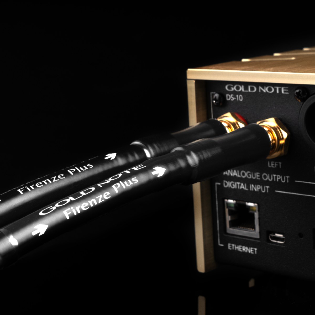 Gold Note Firenze Plus RCA