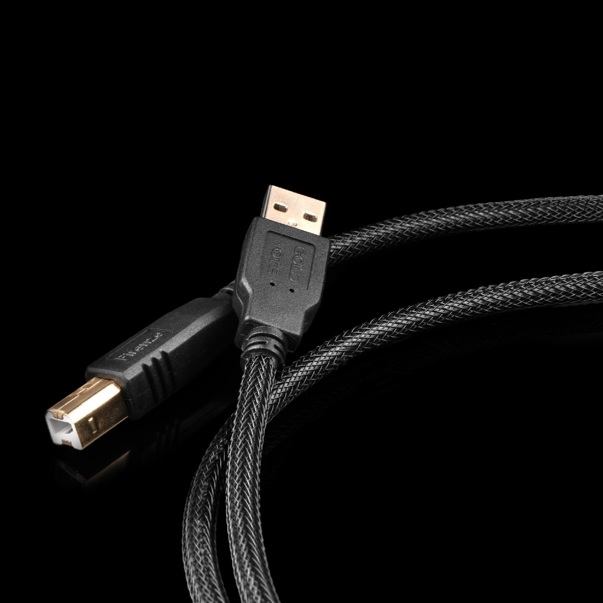 Gold Note Firenze USB