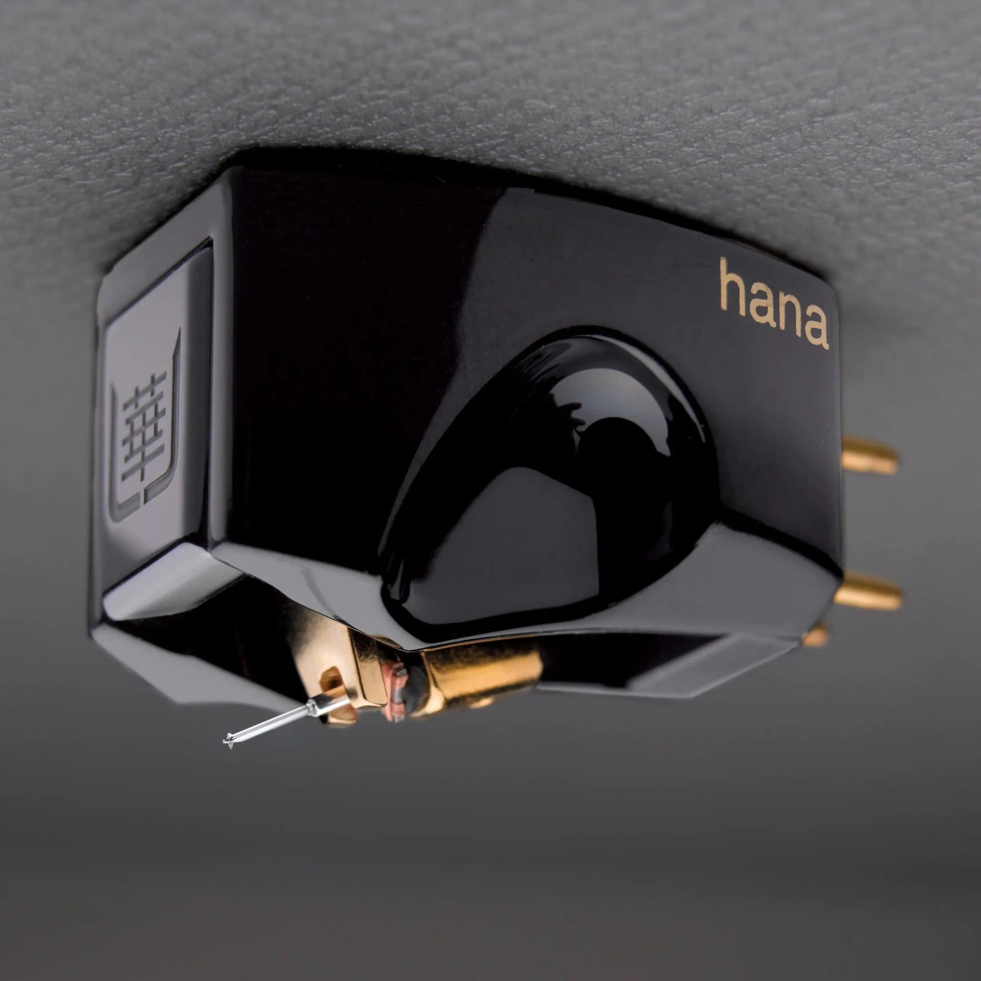 Hana Umami Black