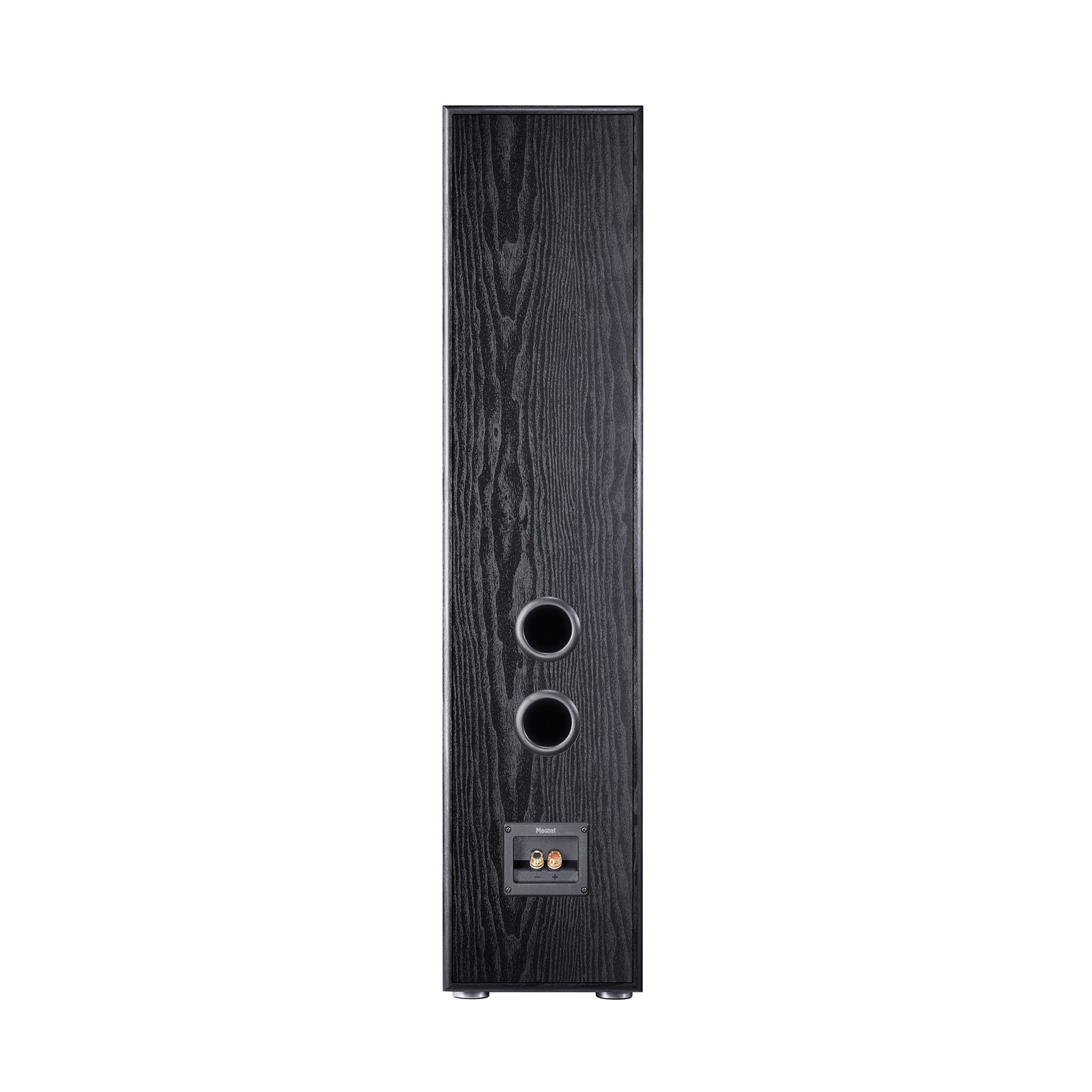 Magnat Monitor S70