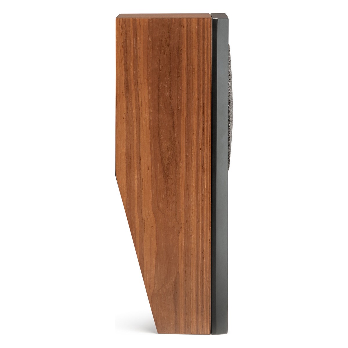 Martin Logan Motion MP10