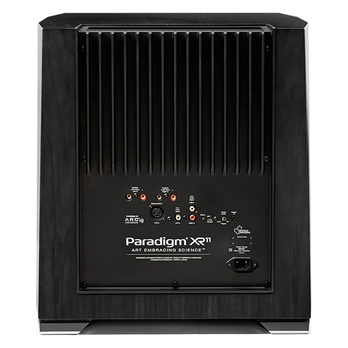 Paradigm XR 11