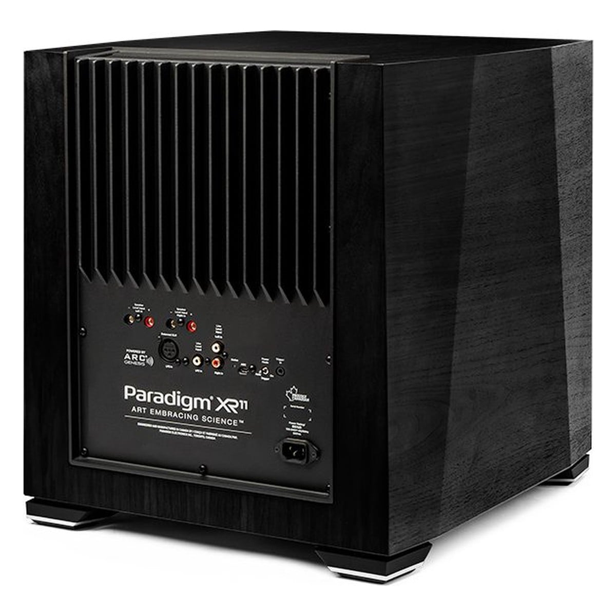Paradigm XR 11