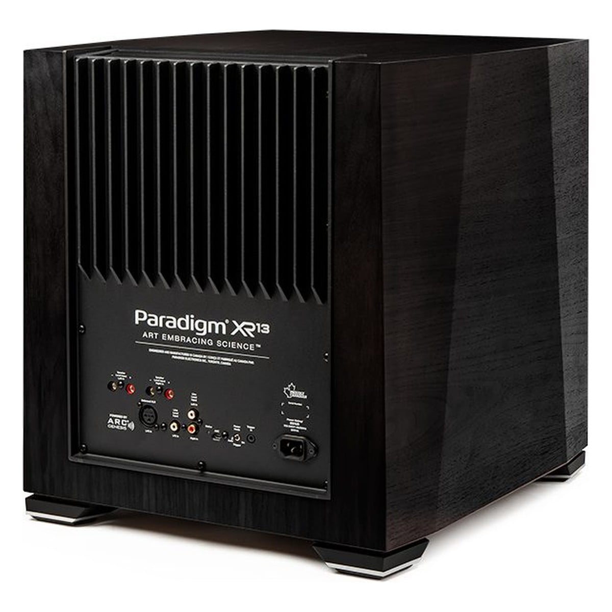 Paradigm XR 13