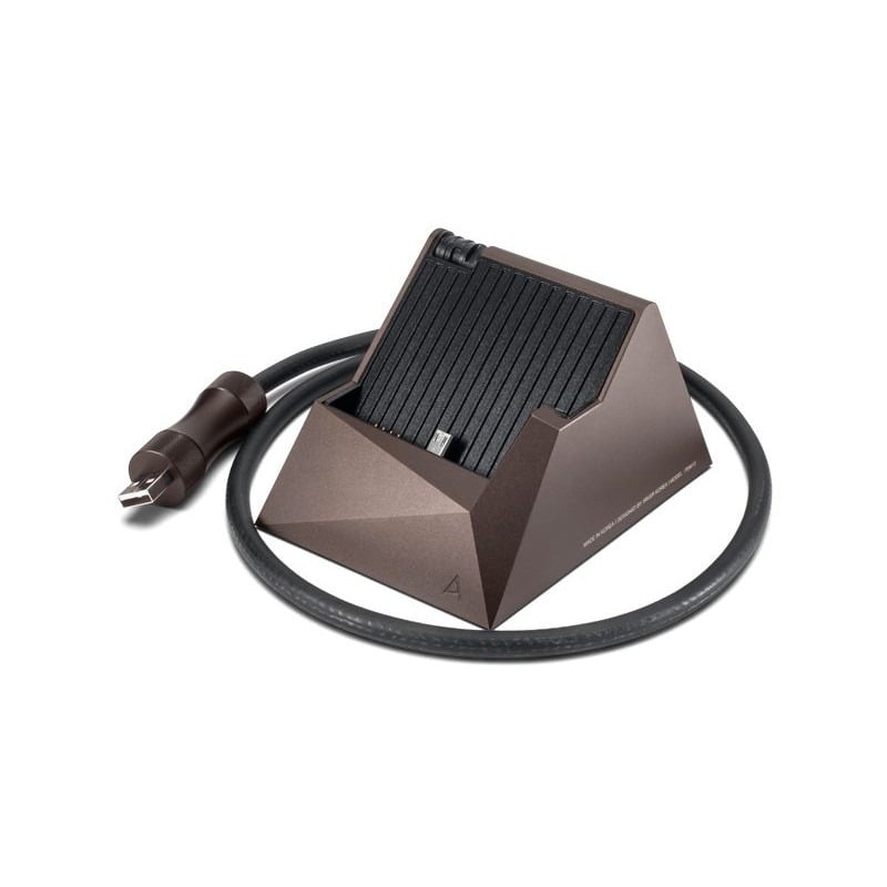 Astell&Kern Dock PEM13