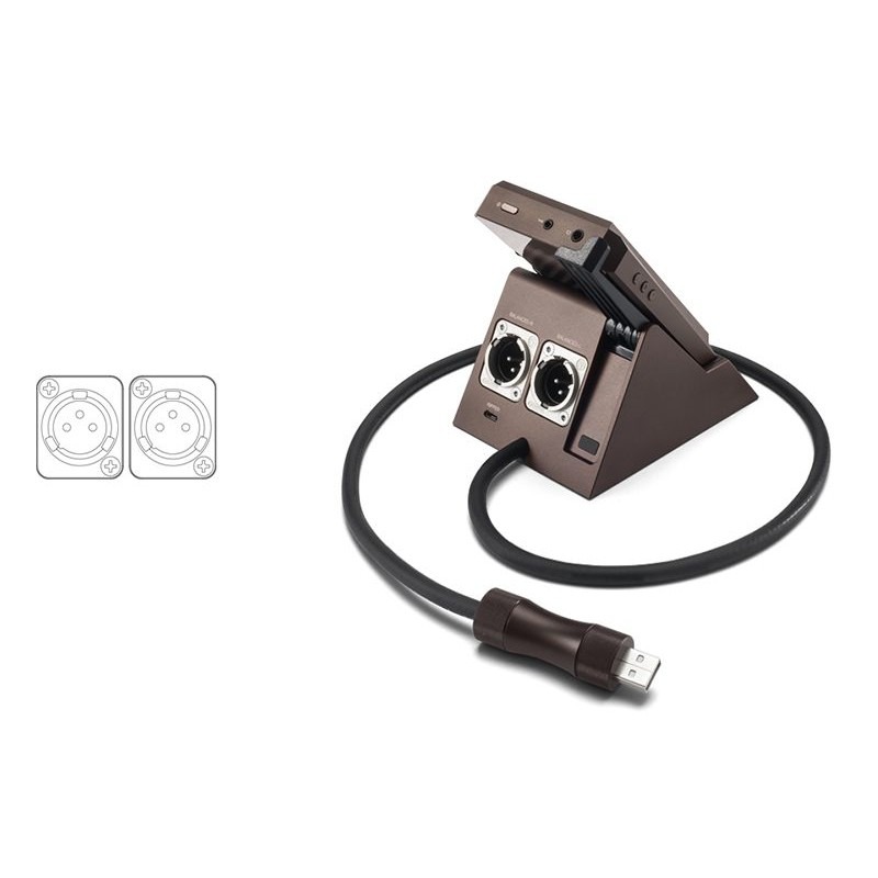 Astell&Kern Dock PEM13