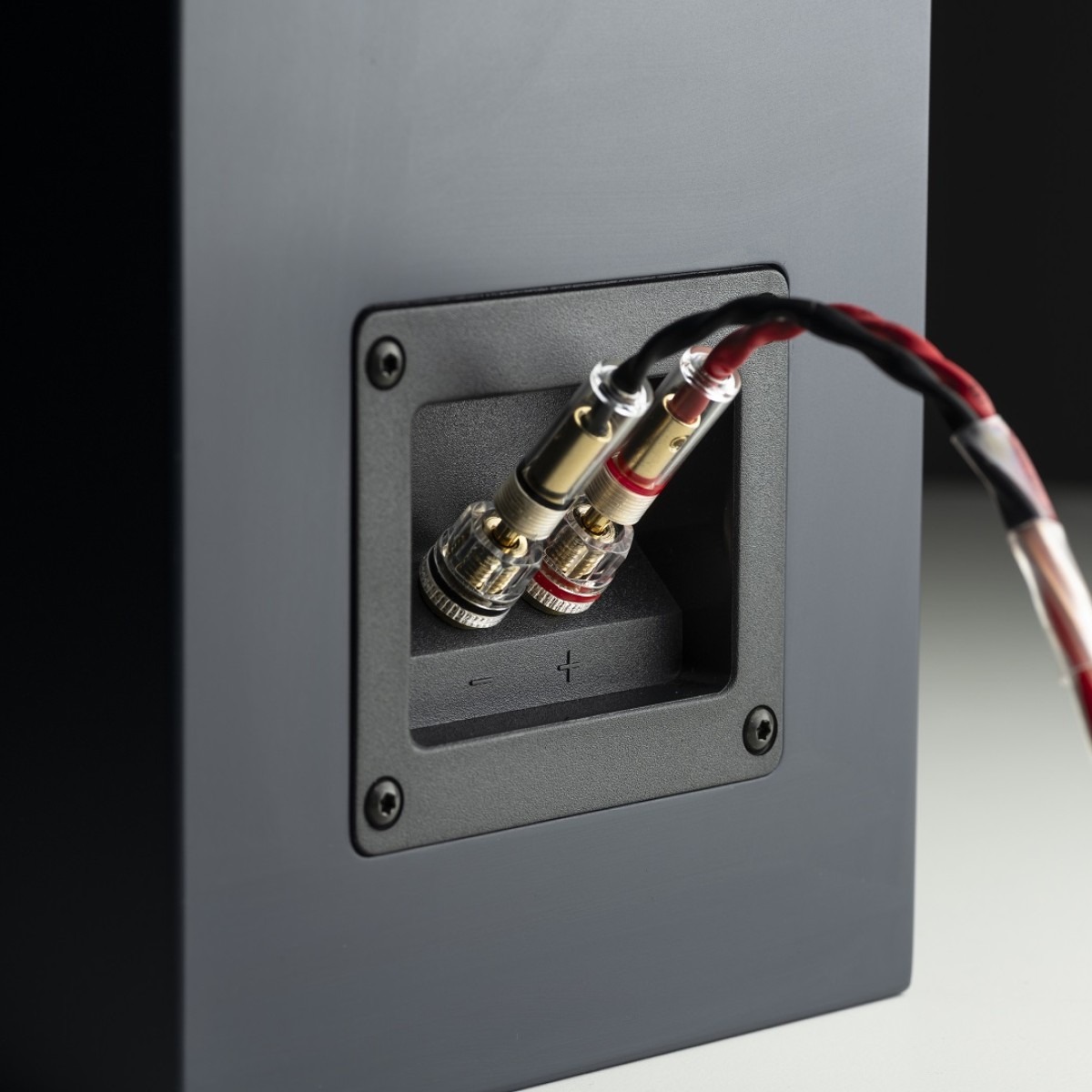 Pro-Ject Connect it LS E 2 × 3 m