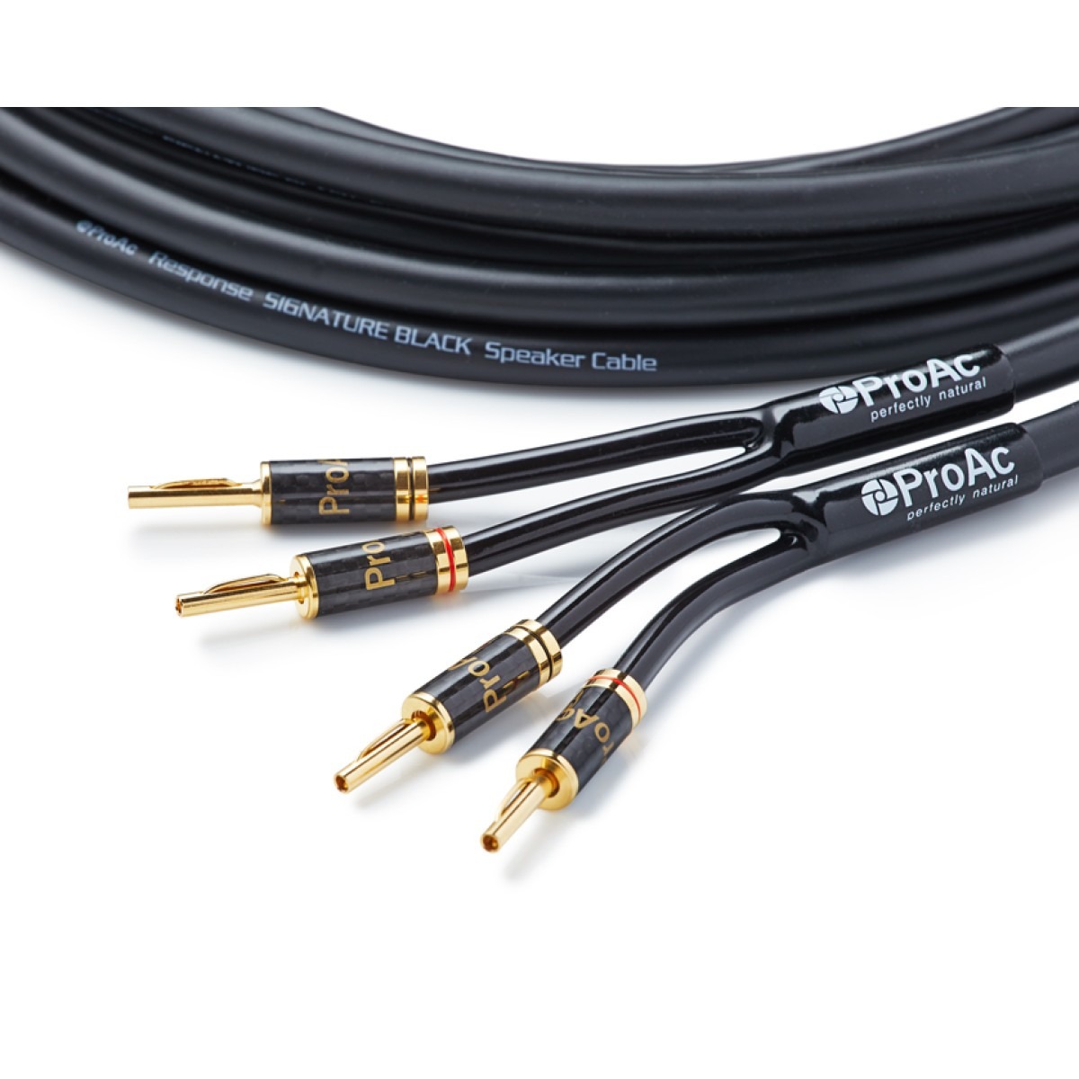 ProAc Signature Black