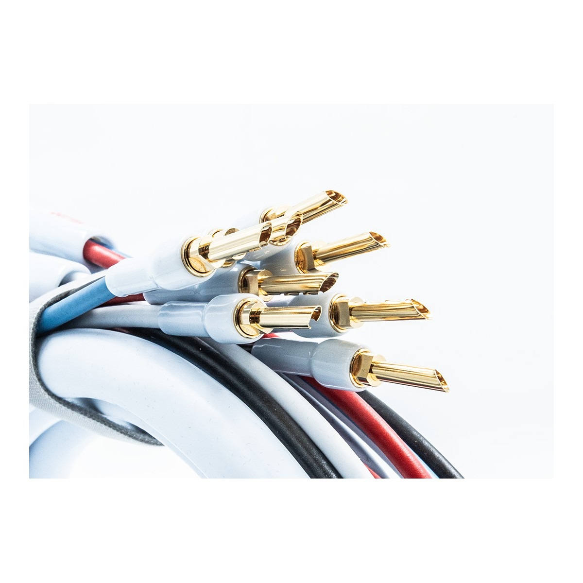 Supra QUADRAX 4X2.0 BI-WIRE COMBICON