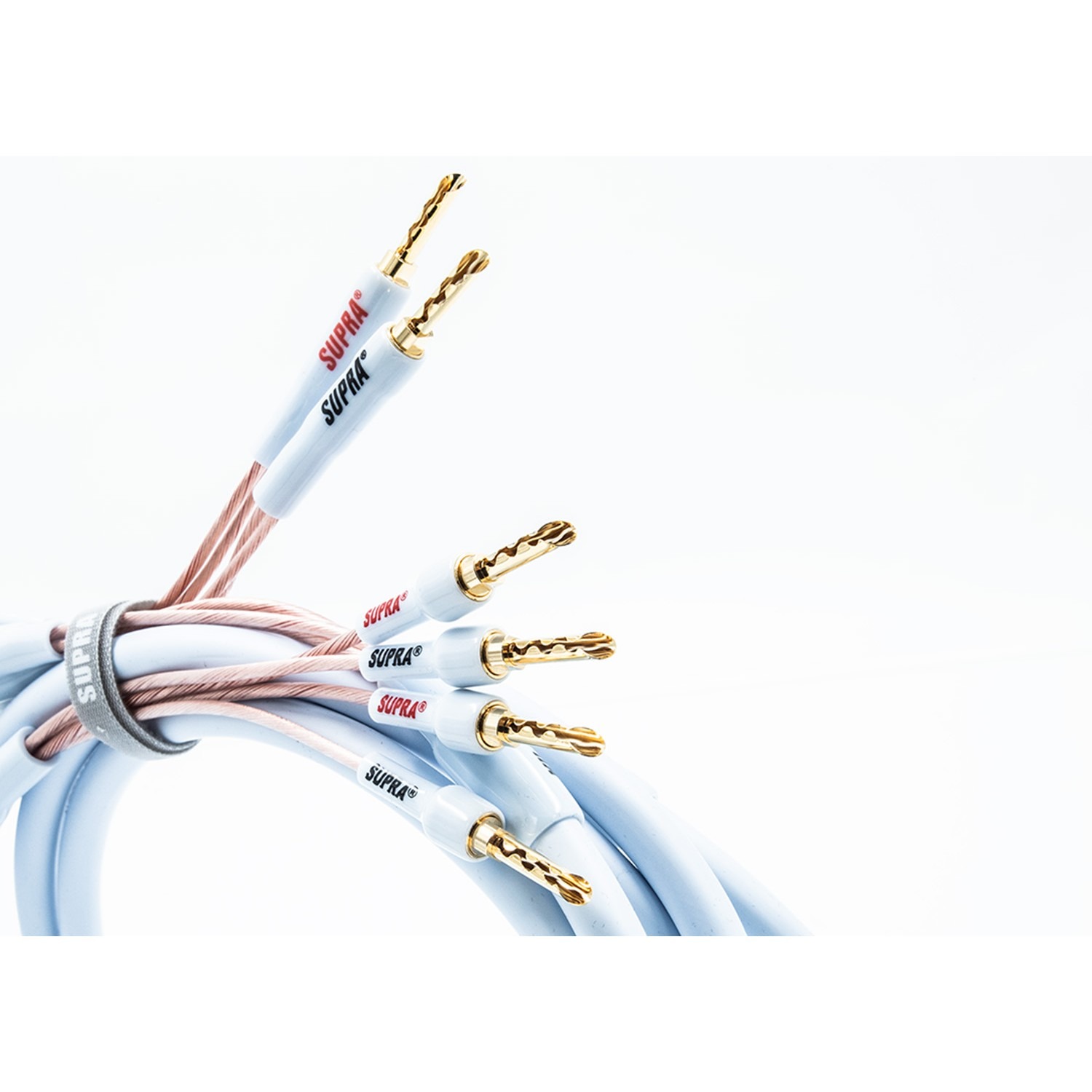 Supra XL ANNORUM BI-WIRE COMBICON