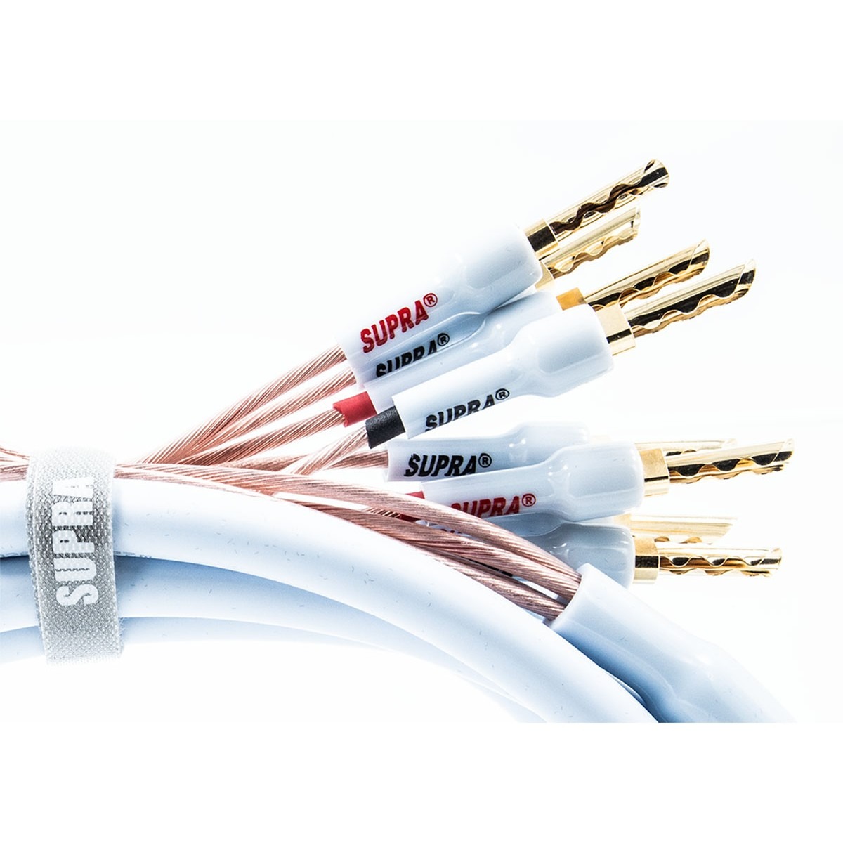 Supra XL ANNORUM BI-WIRE COMBICON