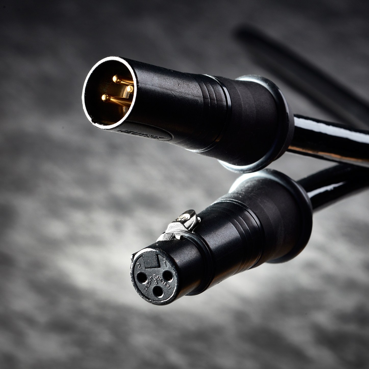 The Gryphon Vanta Digital Transmission XLR