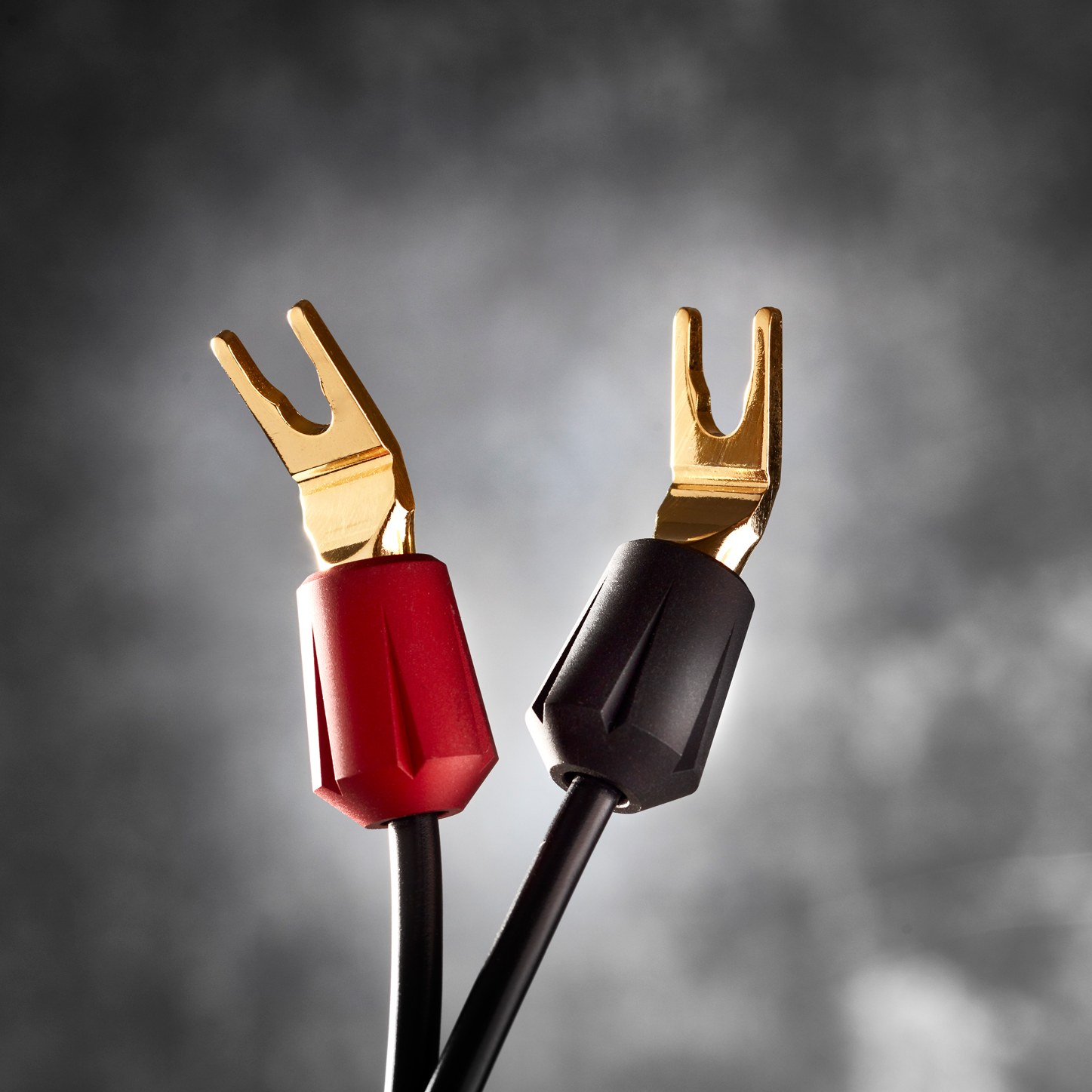 The Gryphon Vanta Speaker Cable forcelle