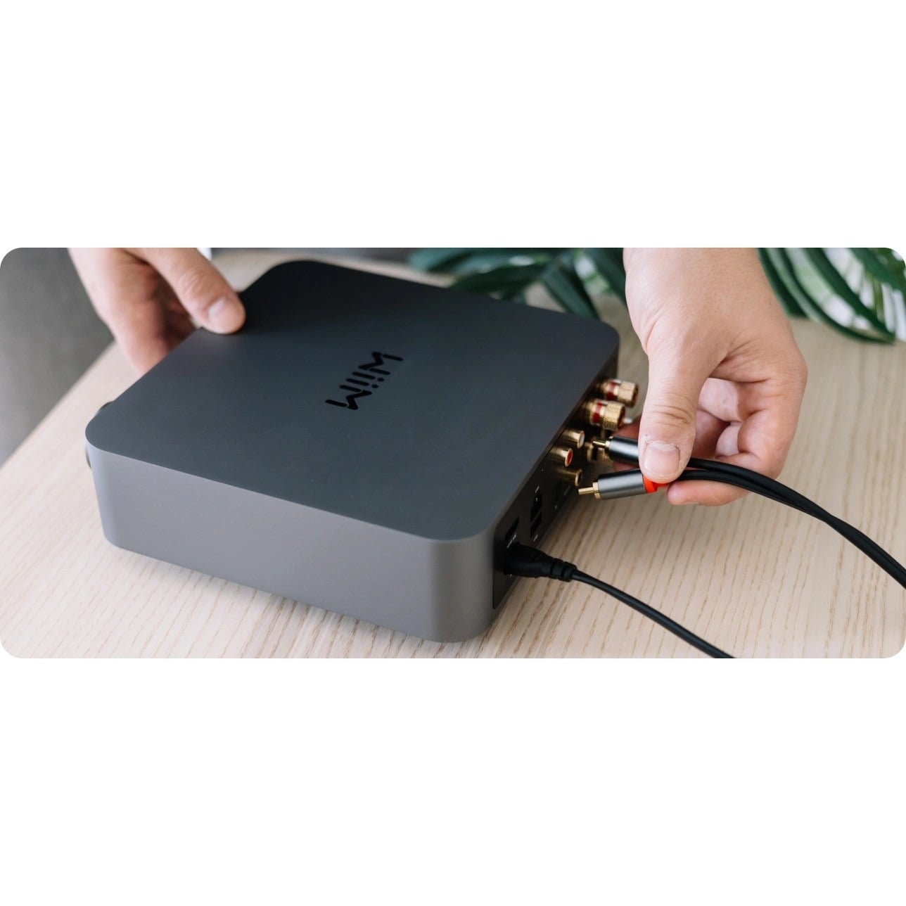 WiiM Amp Pro